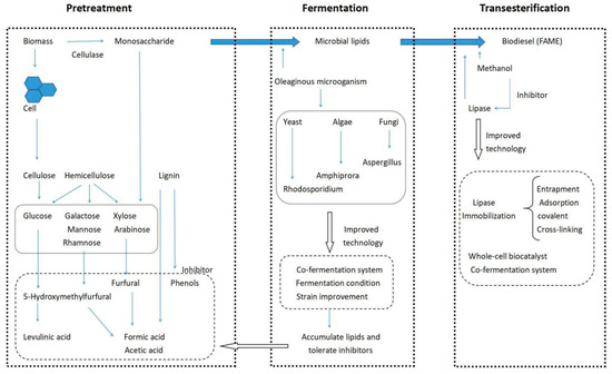 A Comprehensive Review of the Properties, Performance, Combustion, and ...