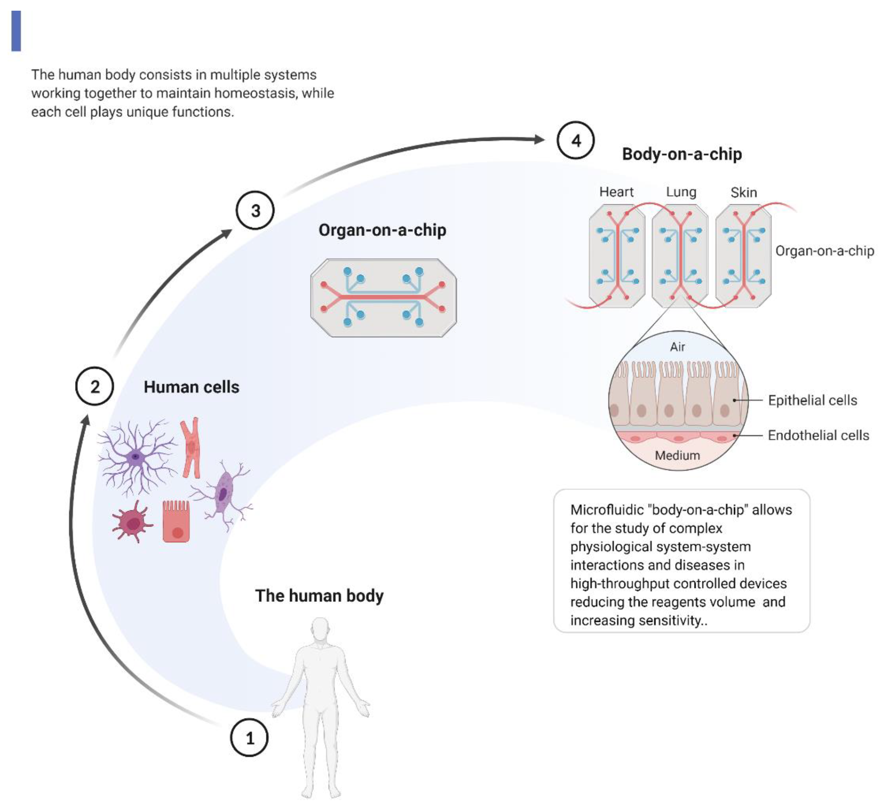 Processes 10 01200 g003