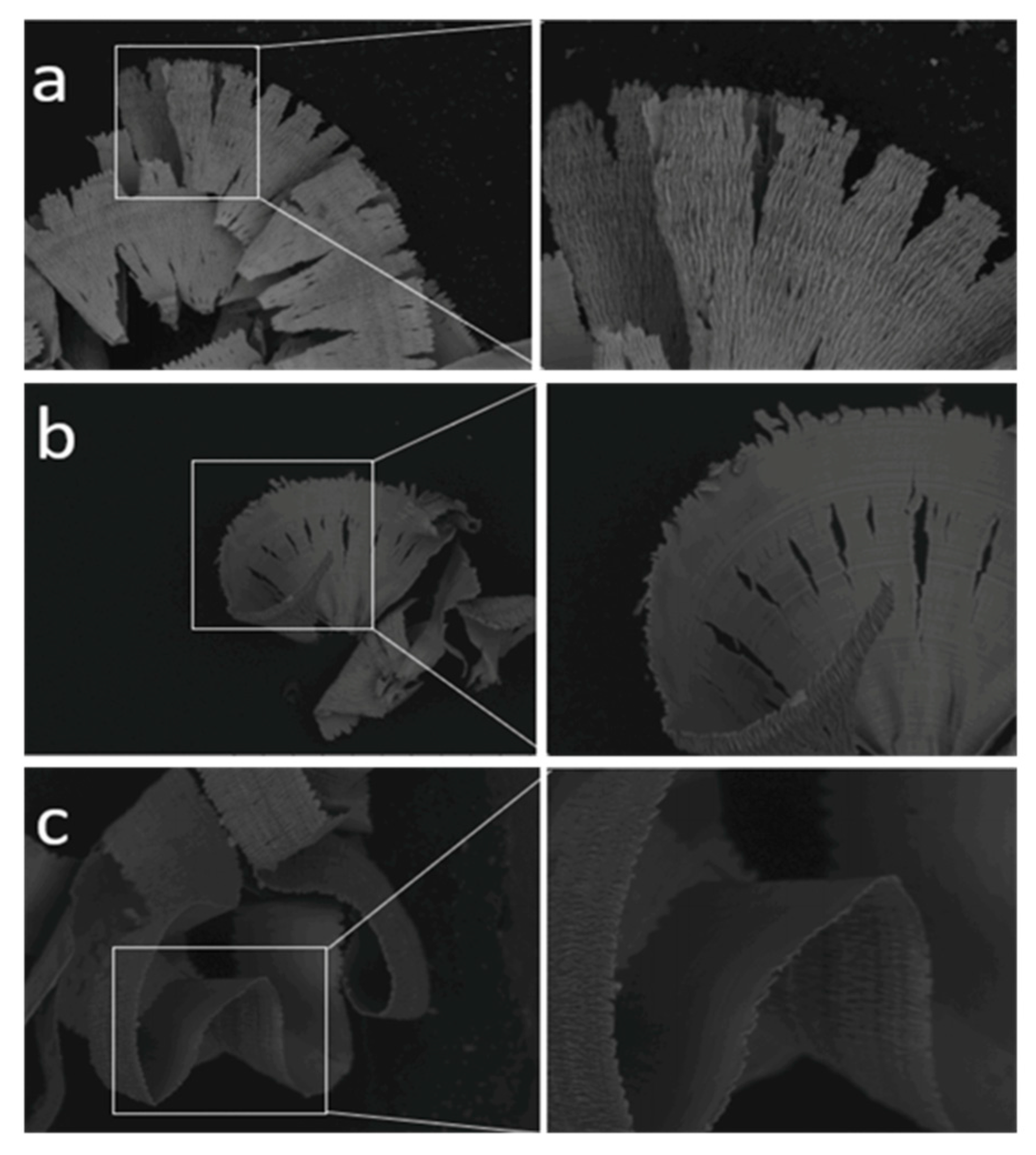 Processes 10 01203 g026