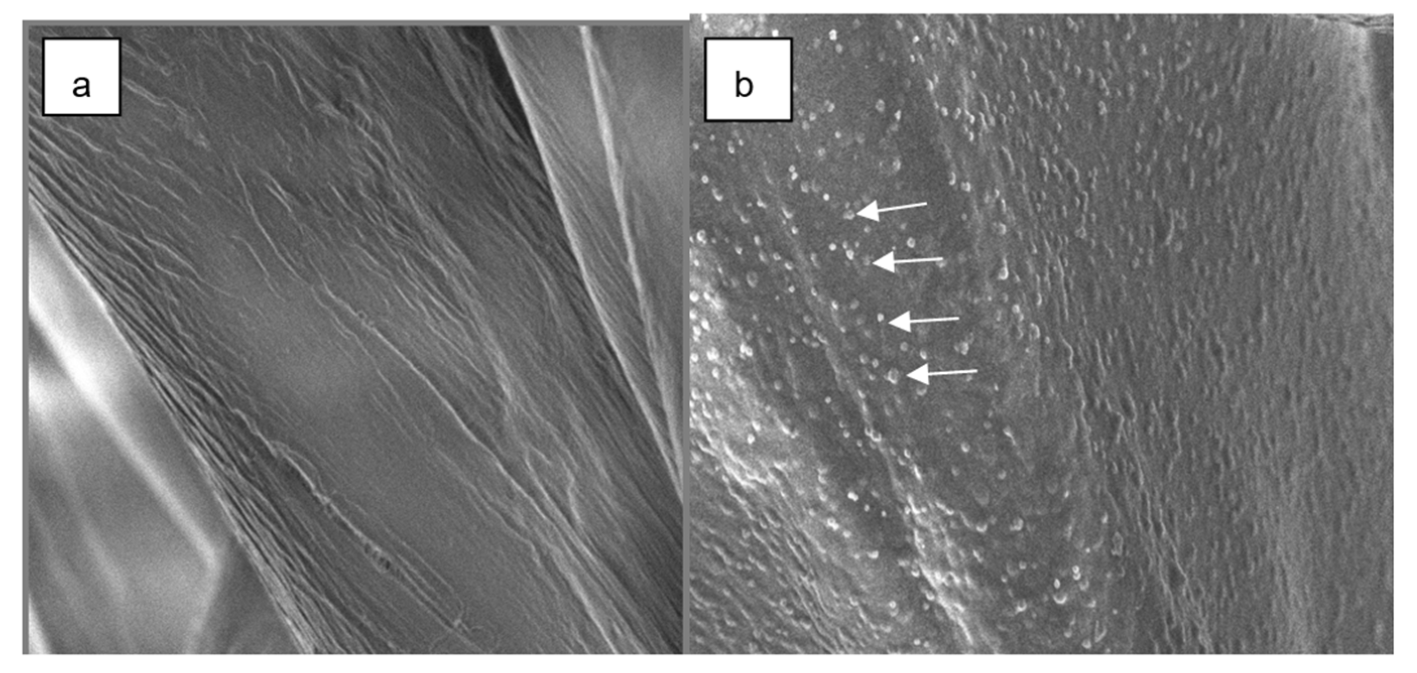 Processes 10 01207 g004 Processes 10 01207 g004