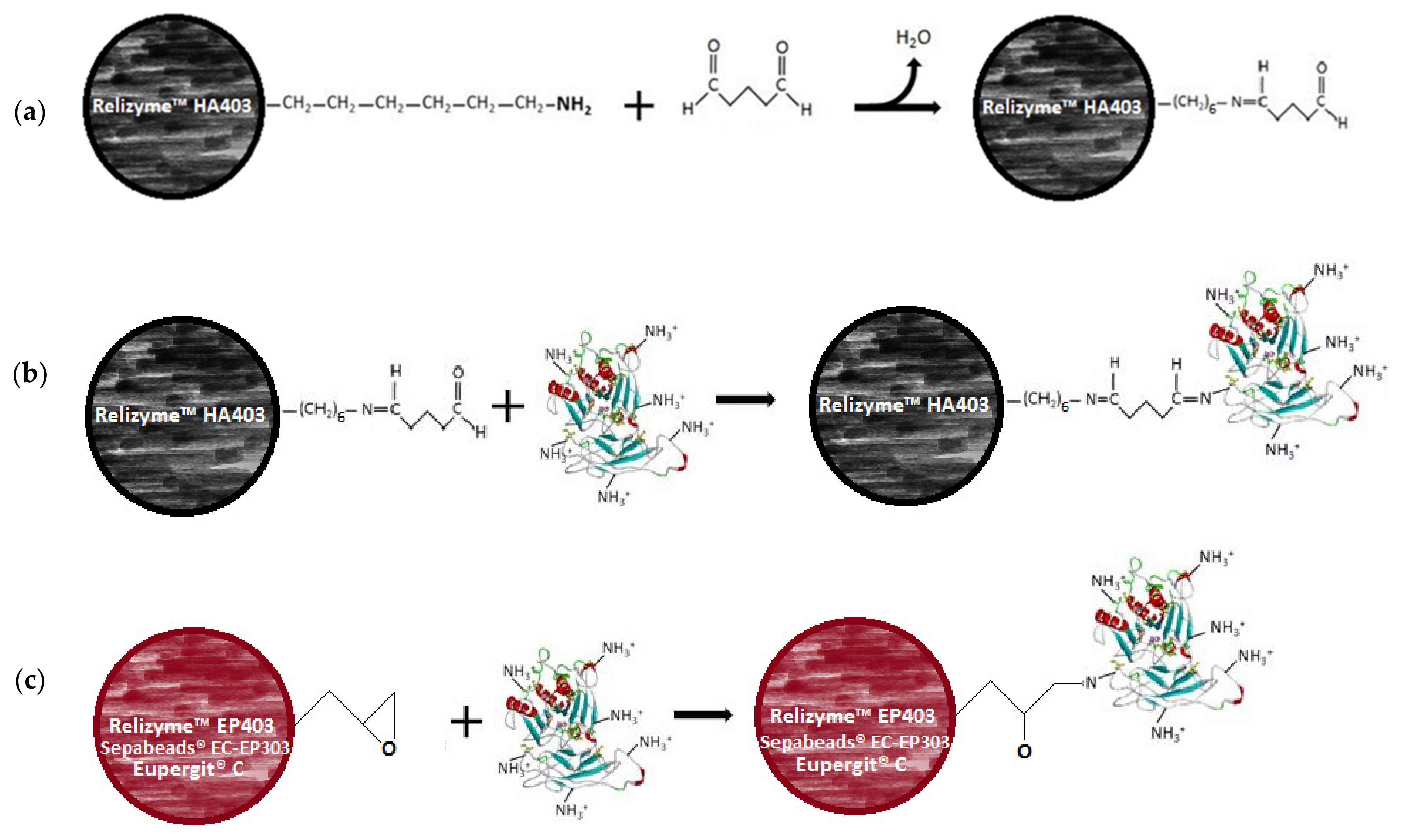 Processes 10 01225 g001