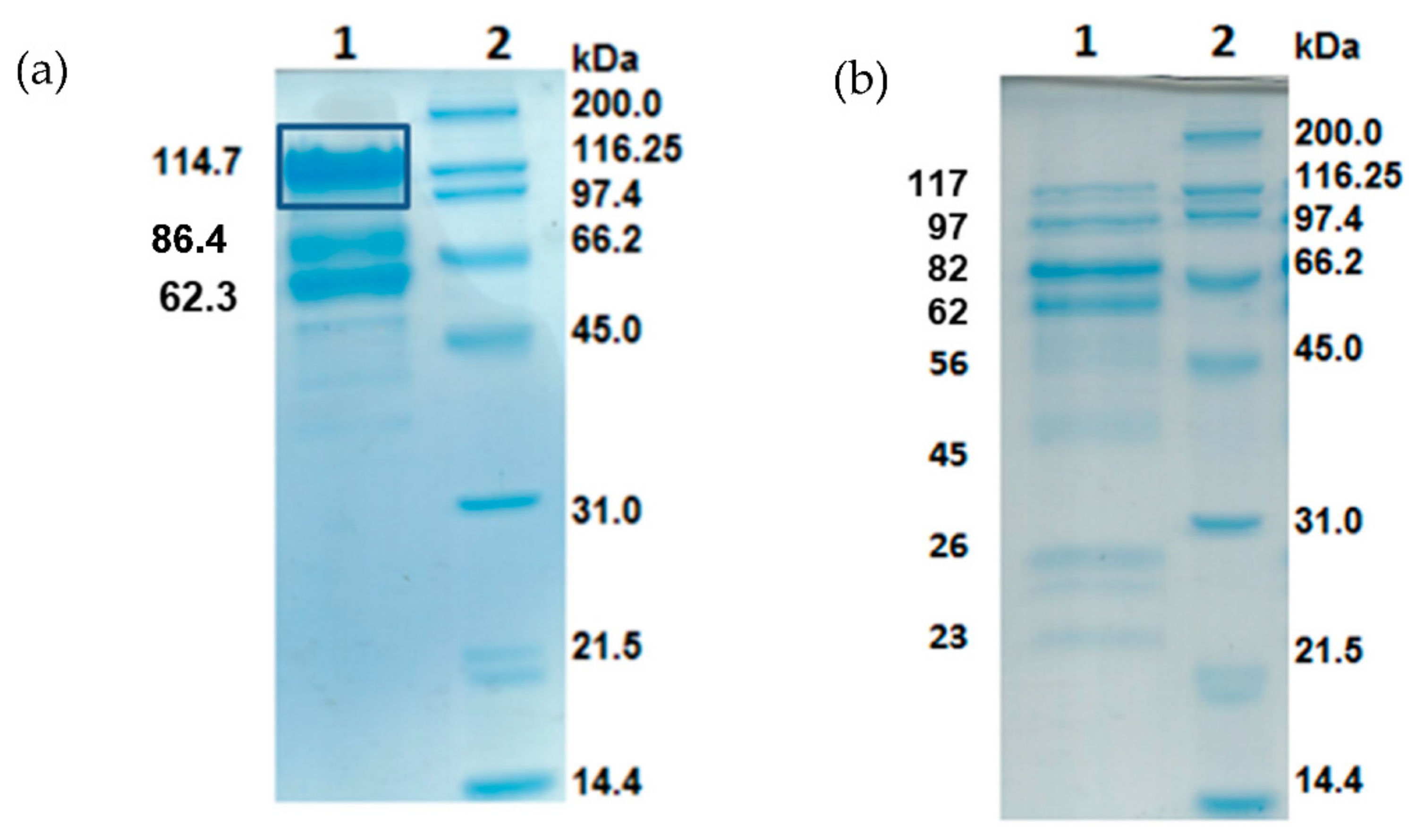 Processes 10 01225 g002