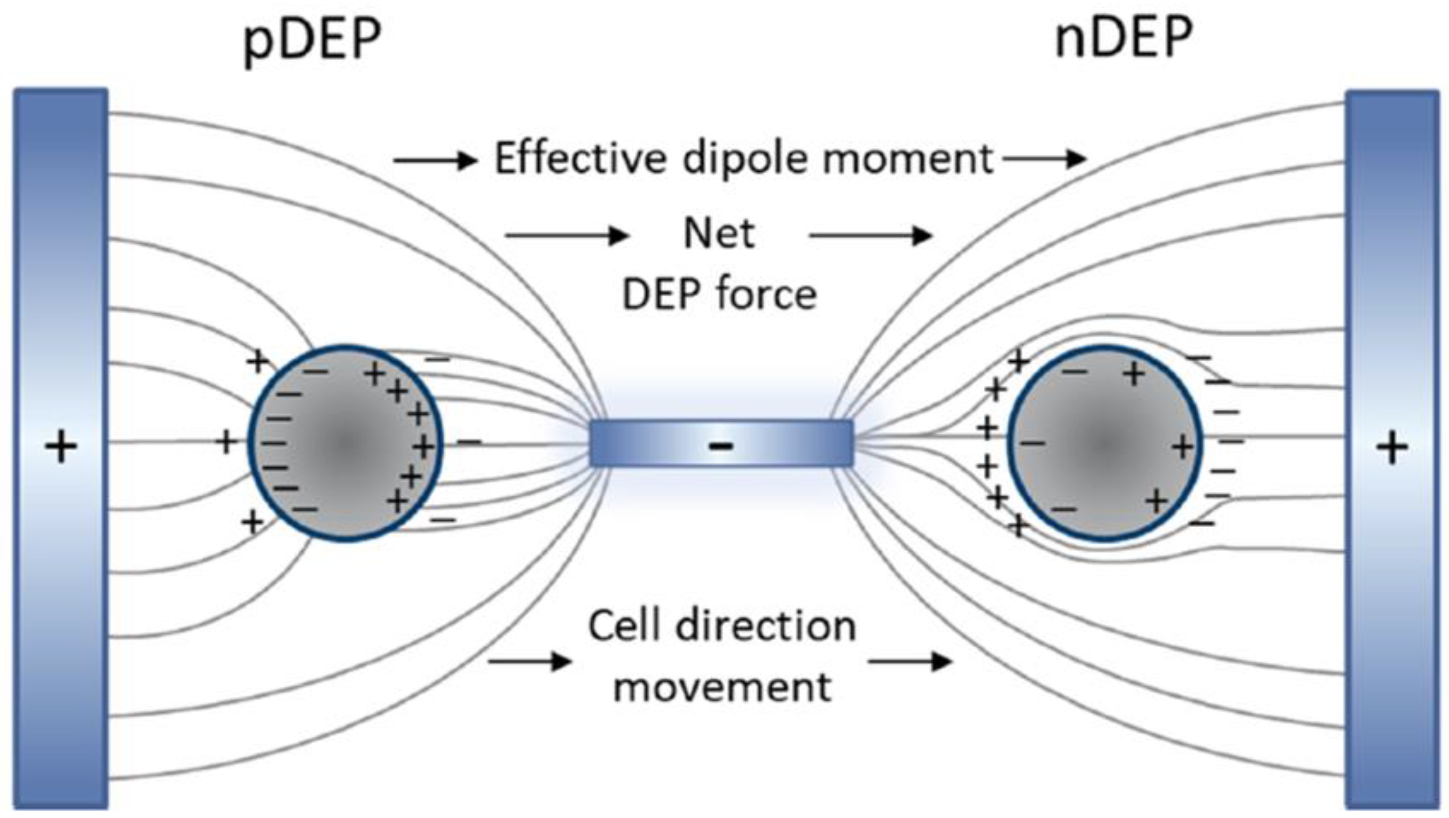 Processes 10 01226 g003 550