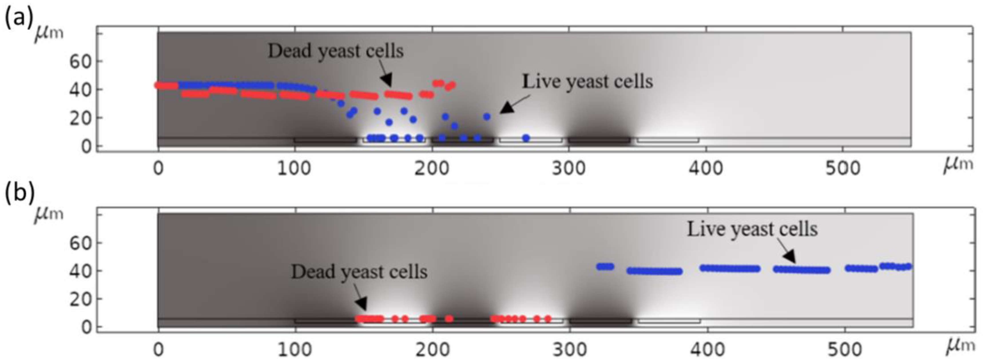 Processes 10 01226 g007 550