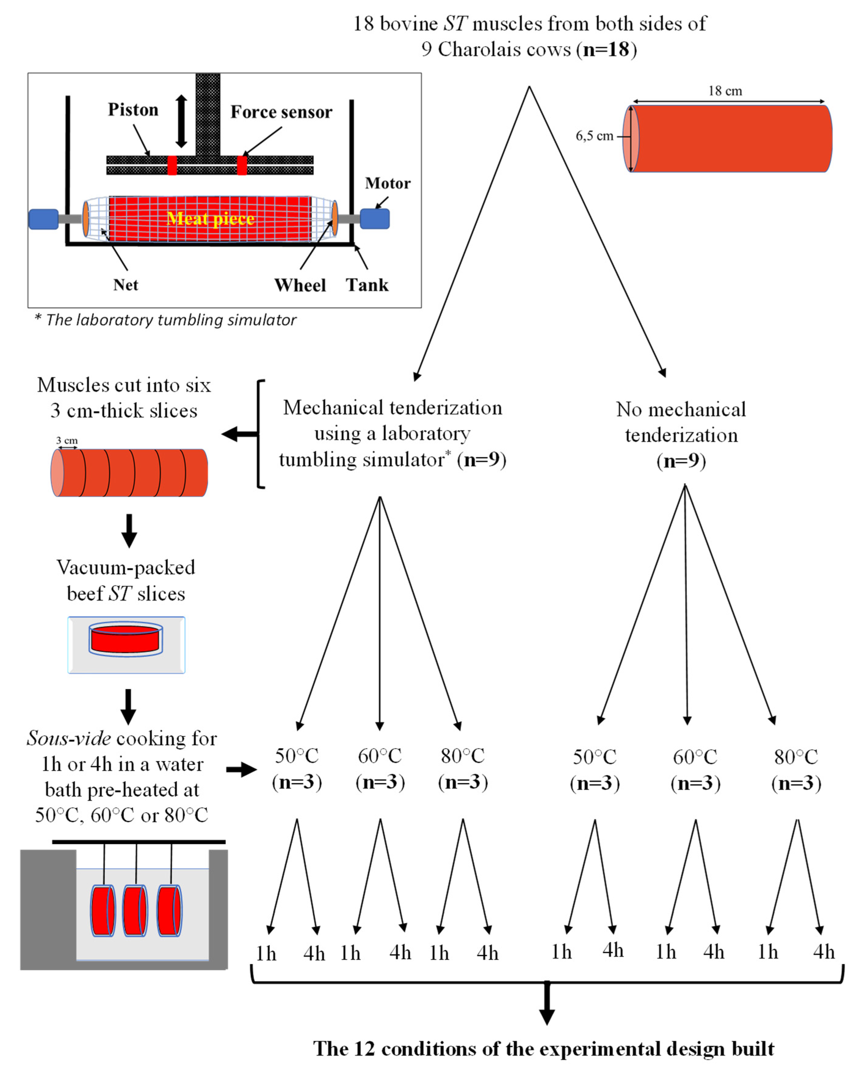 Processes 10 01229 g001 550