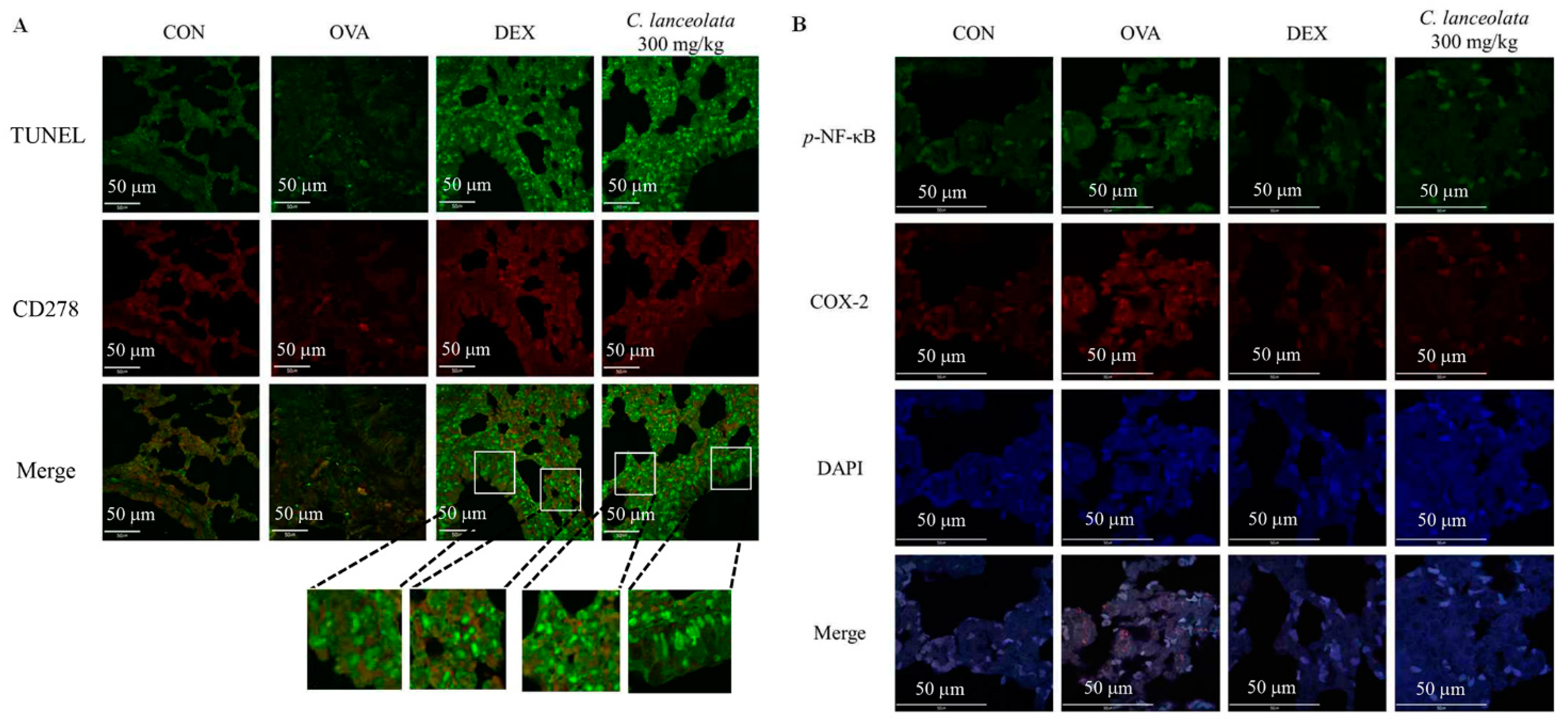 Processes 10 01249 g004 Processes 10 01249 g004