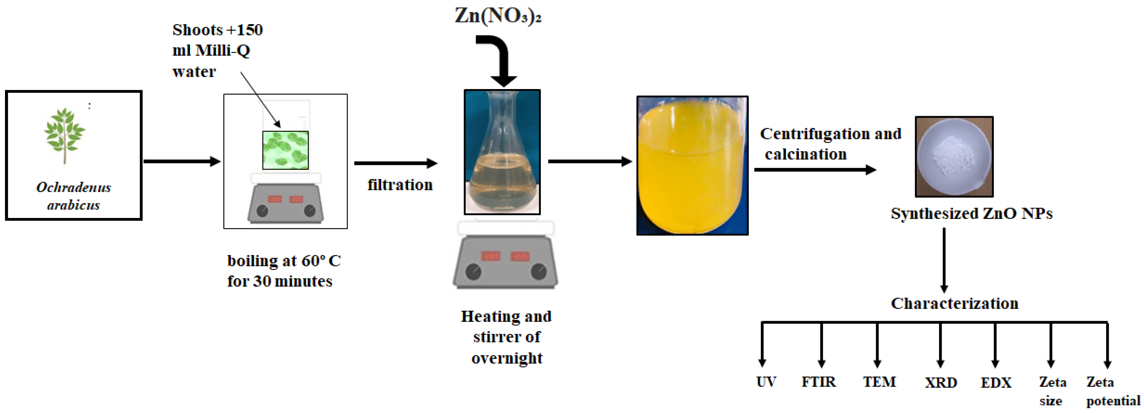 Processes 10 01273 g001