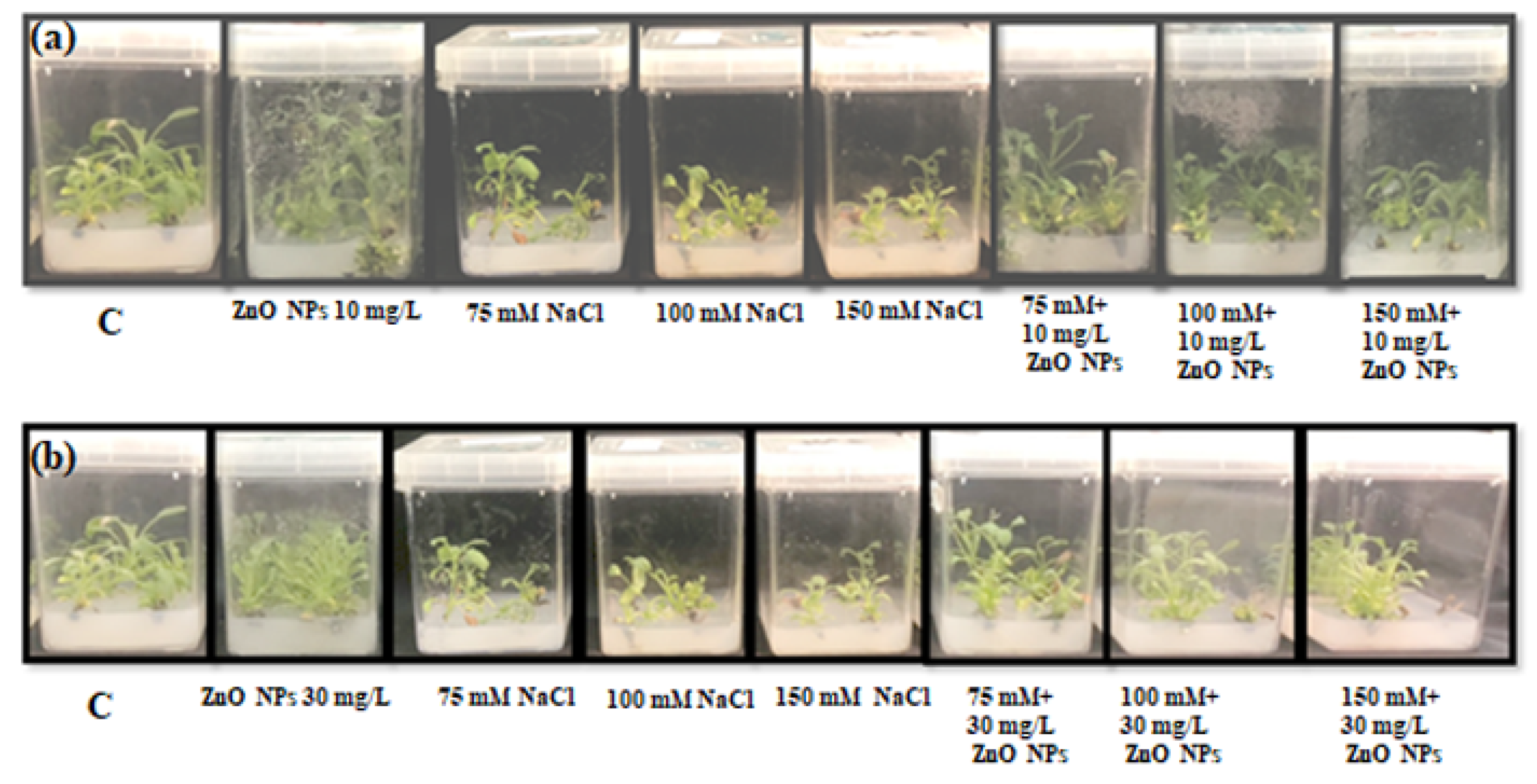 Processes 10 01273 g004