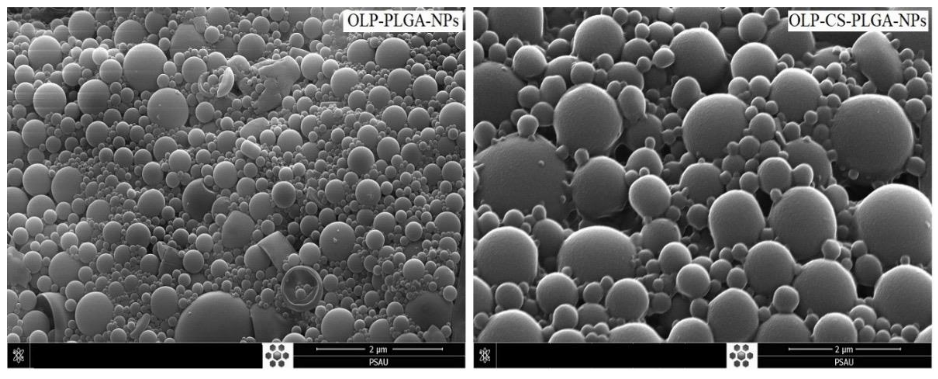 Processes 10 01329 g004 550