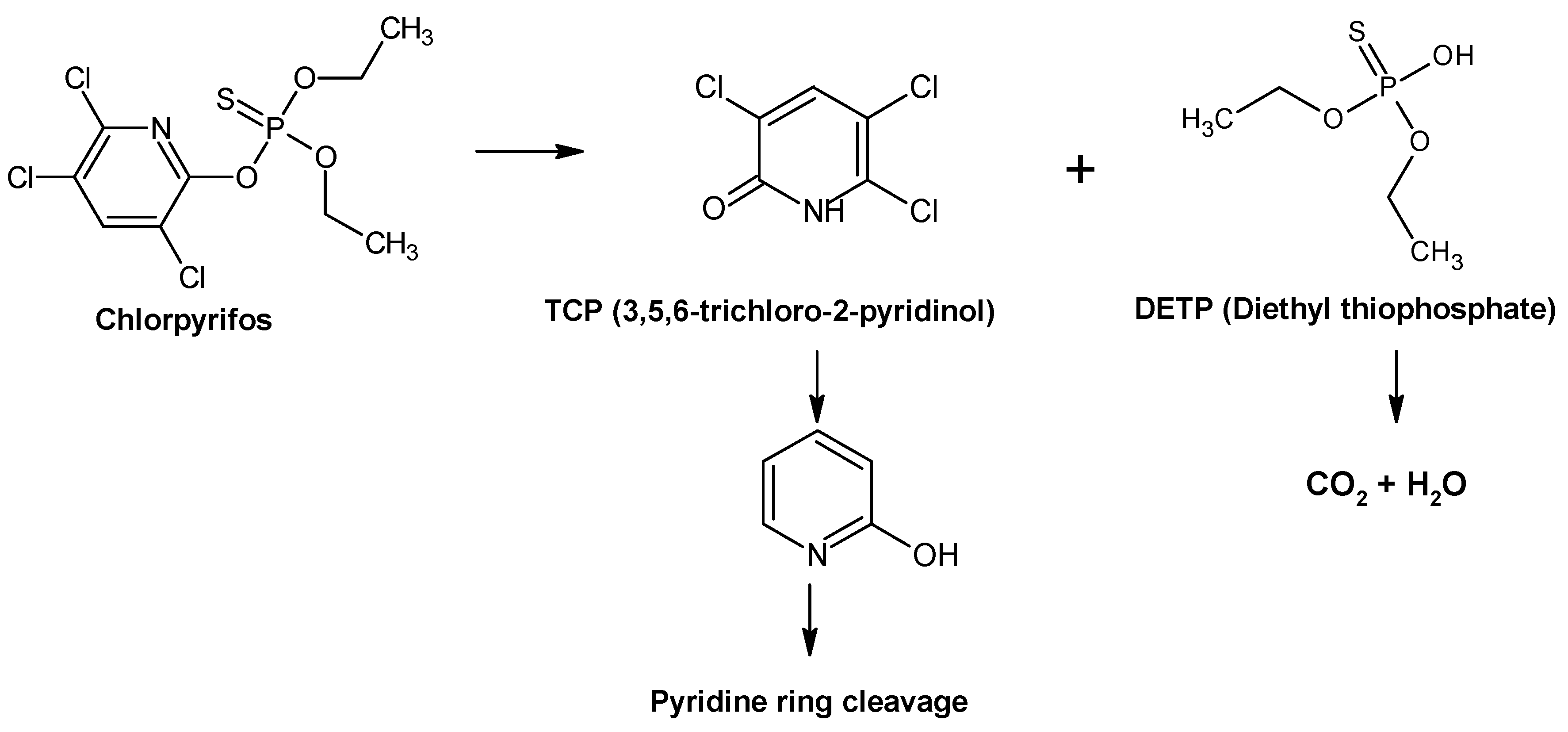 Processes 10 01358 g003