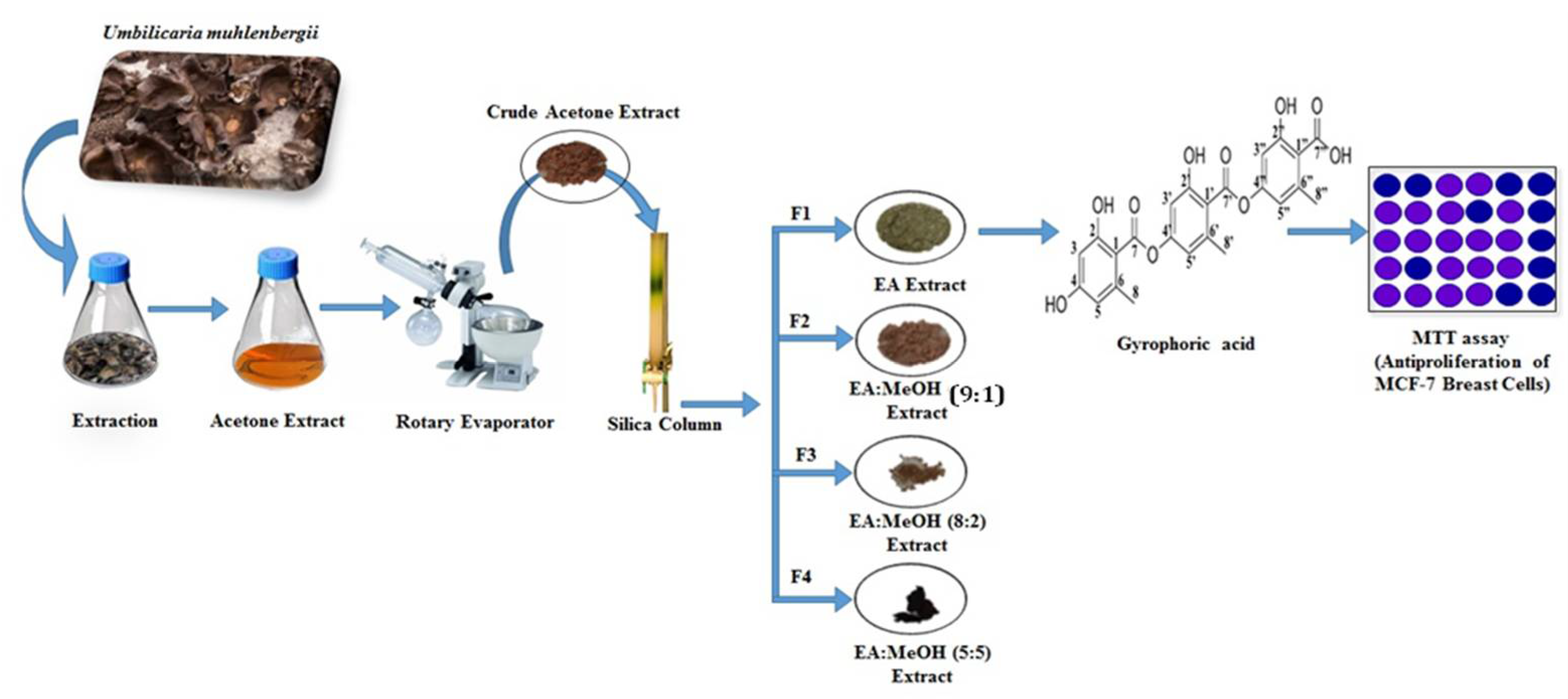 Processes 10 01361 g001 Processes 10 01361 g001