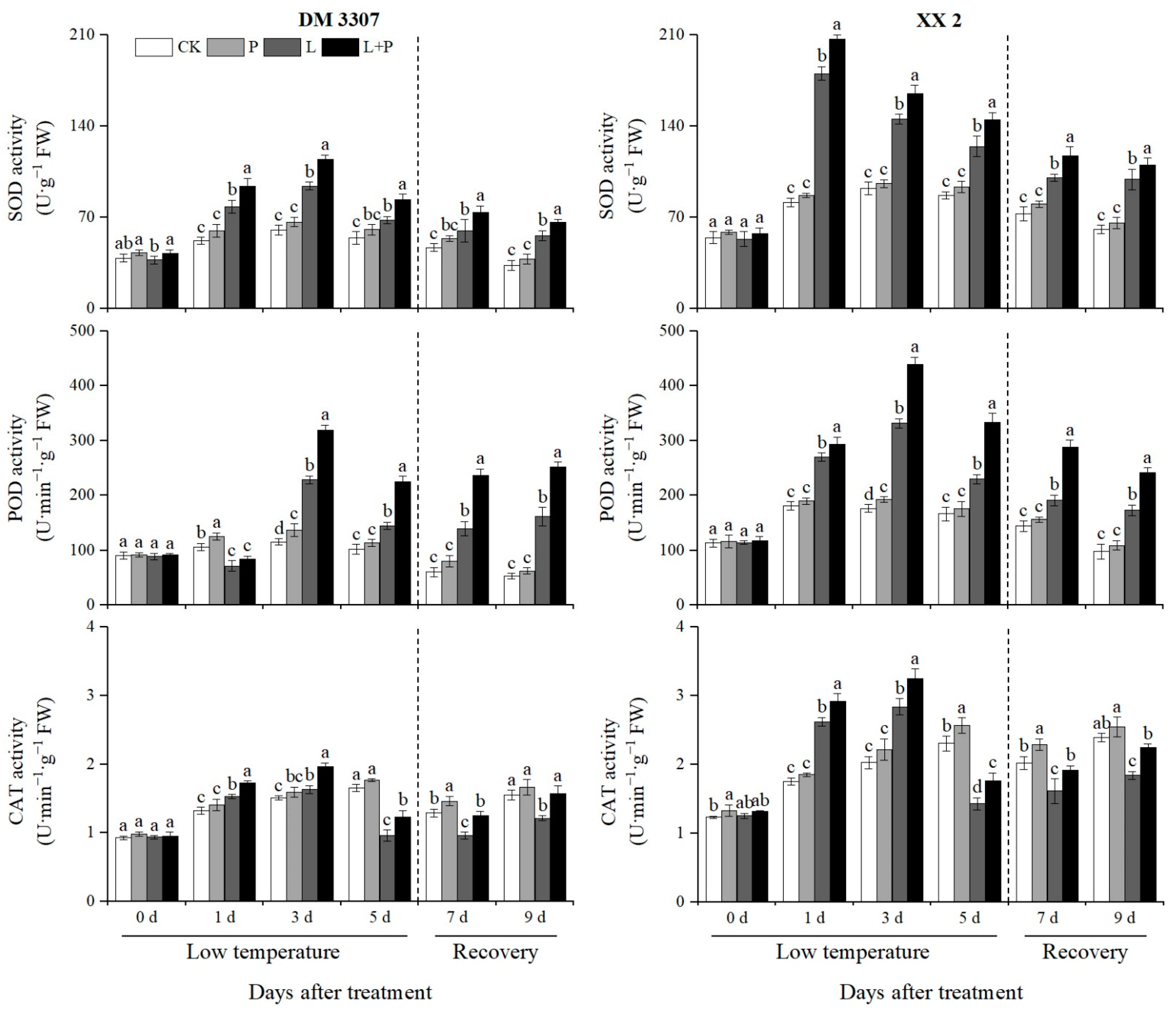 Processes 10 01388 g003 Processes 10 01388 g003