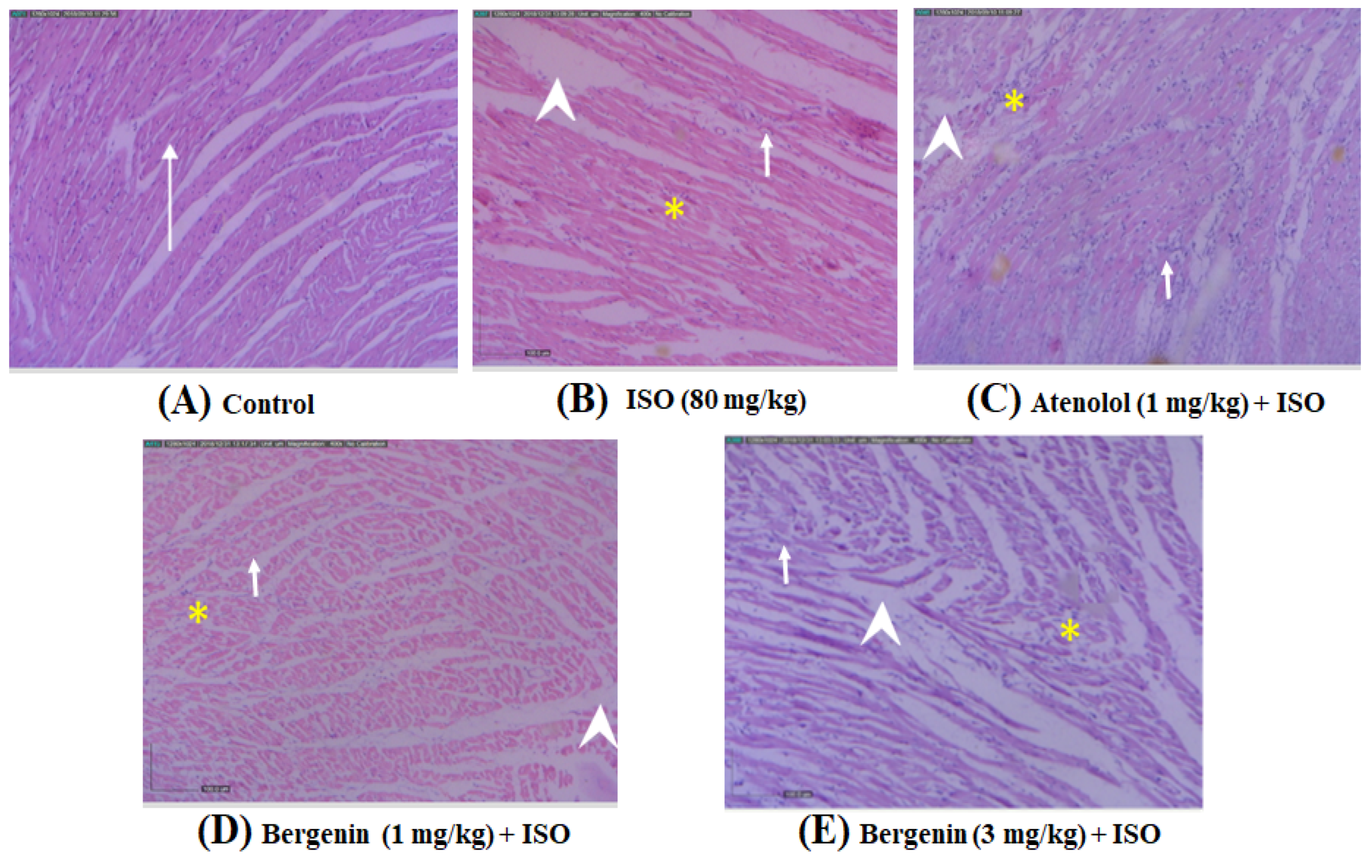 Processes 10 01403 g005 550