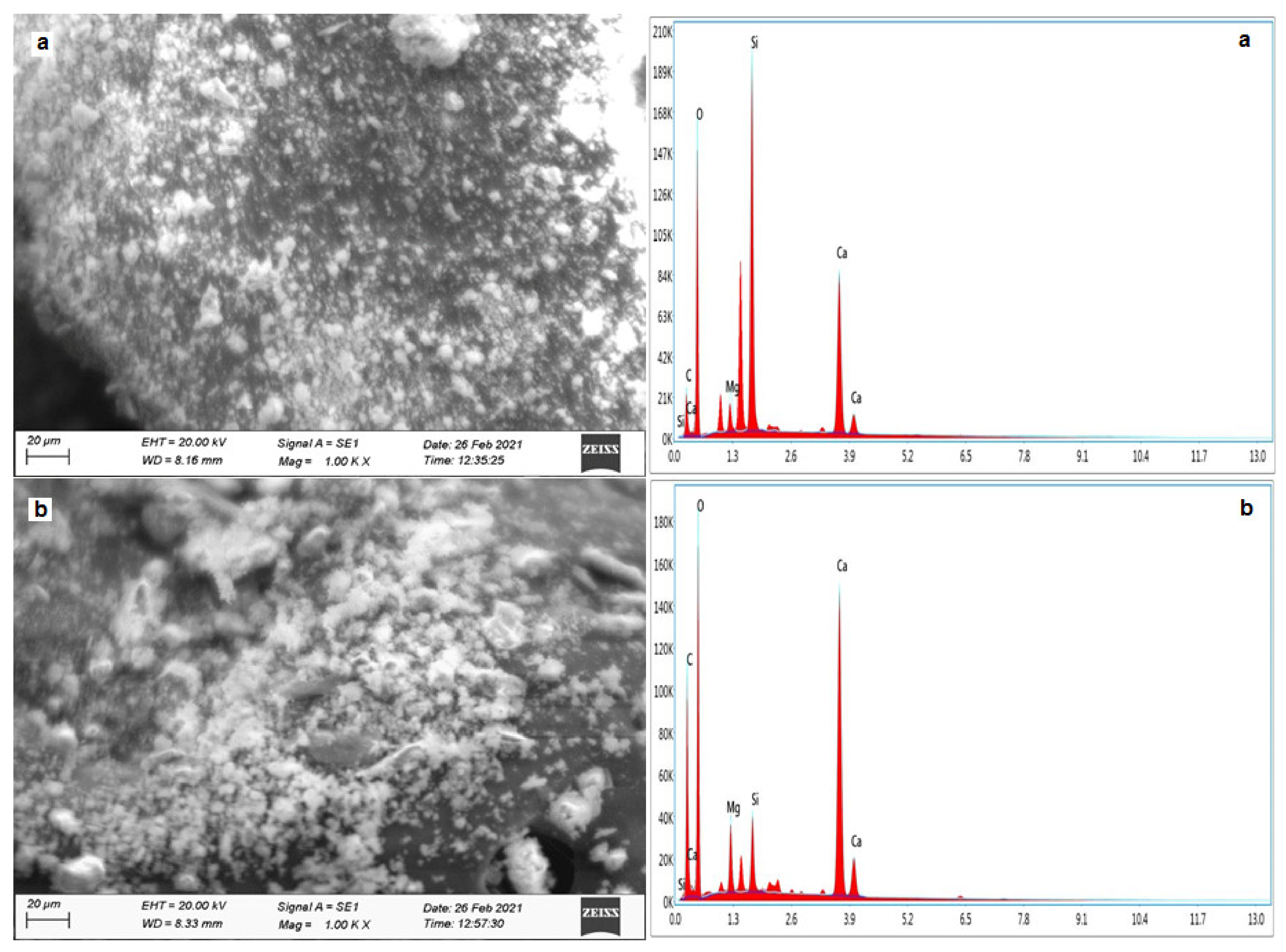 Processes 10 01424 g012