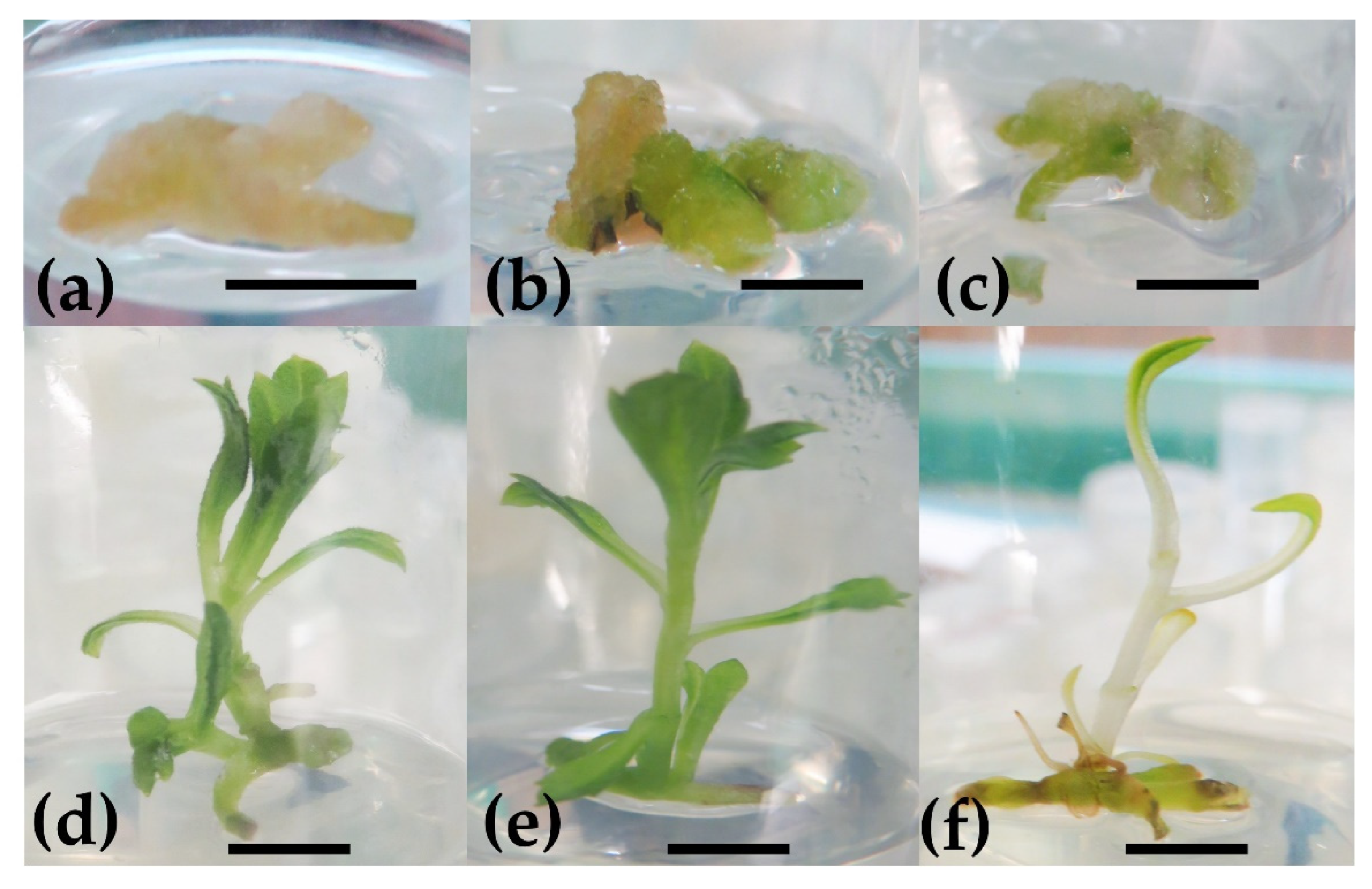 Processes 10 01439 g003 Processes 10 01439 g003