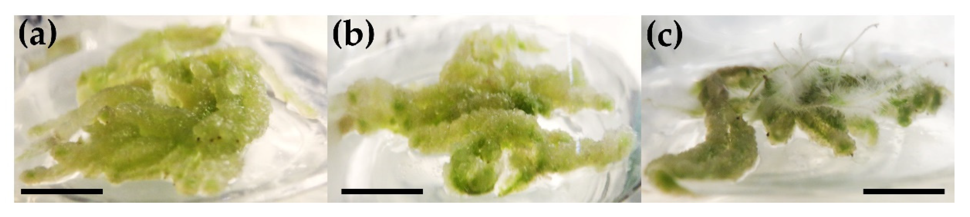 Processes 10 01439 g005 Processes 10 01439 g005