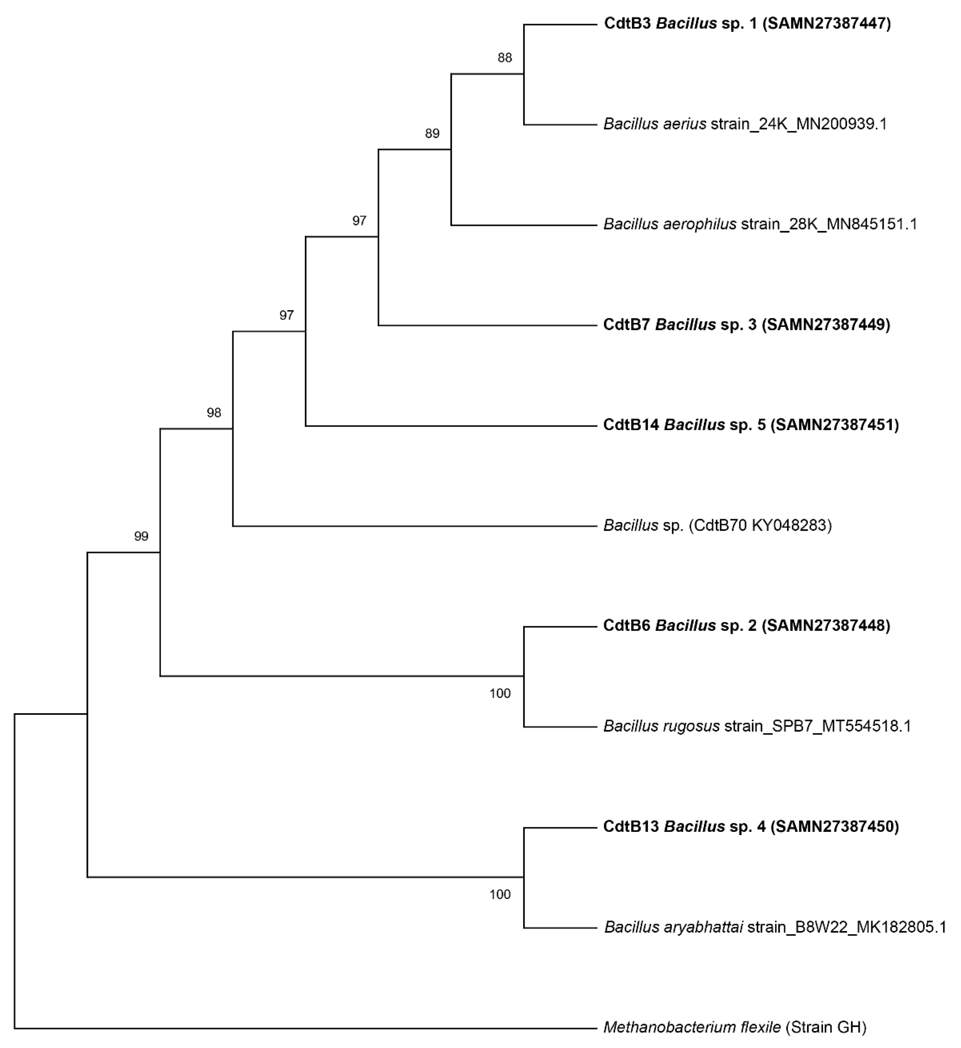 Processes 10 01457 g001