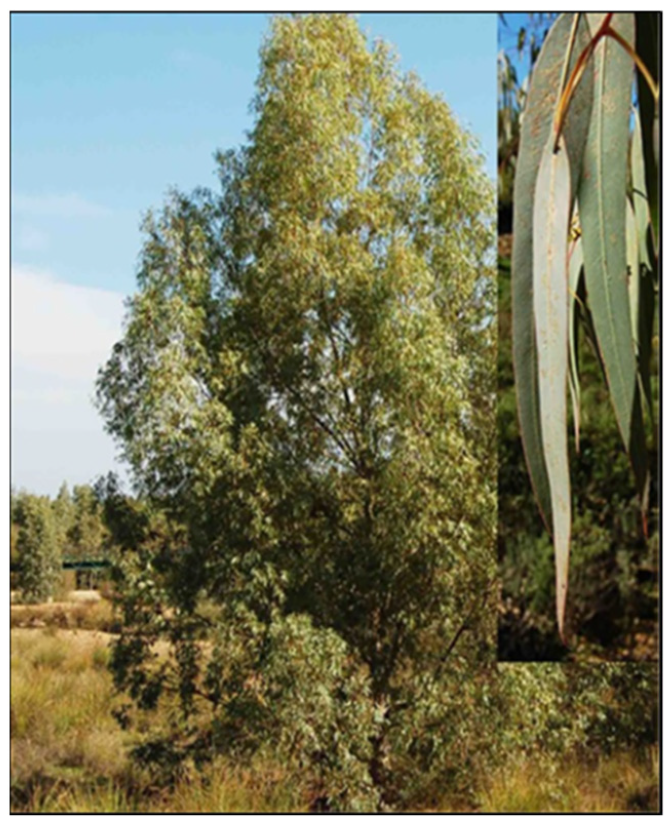 Processes 10 01461 g011