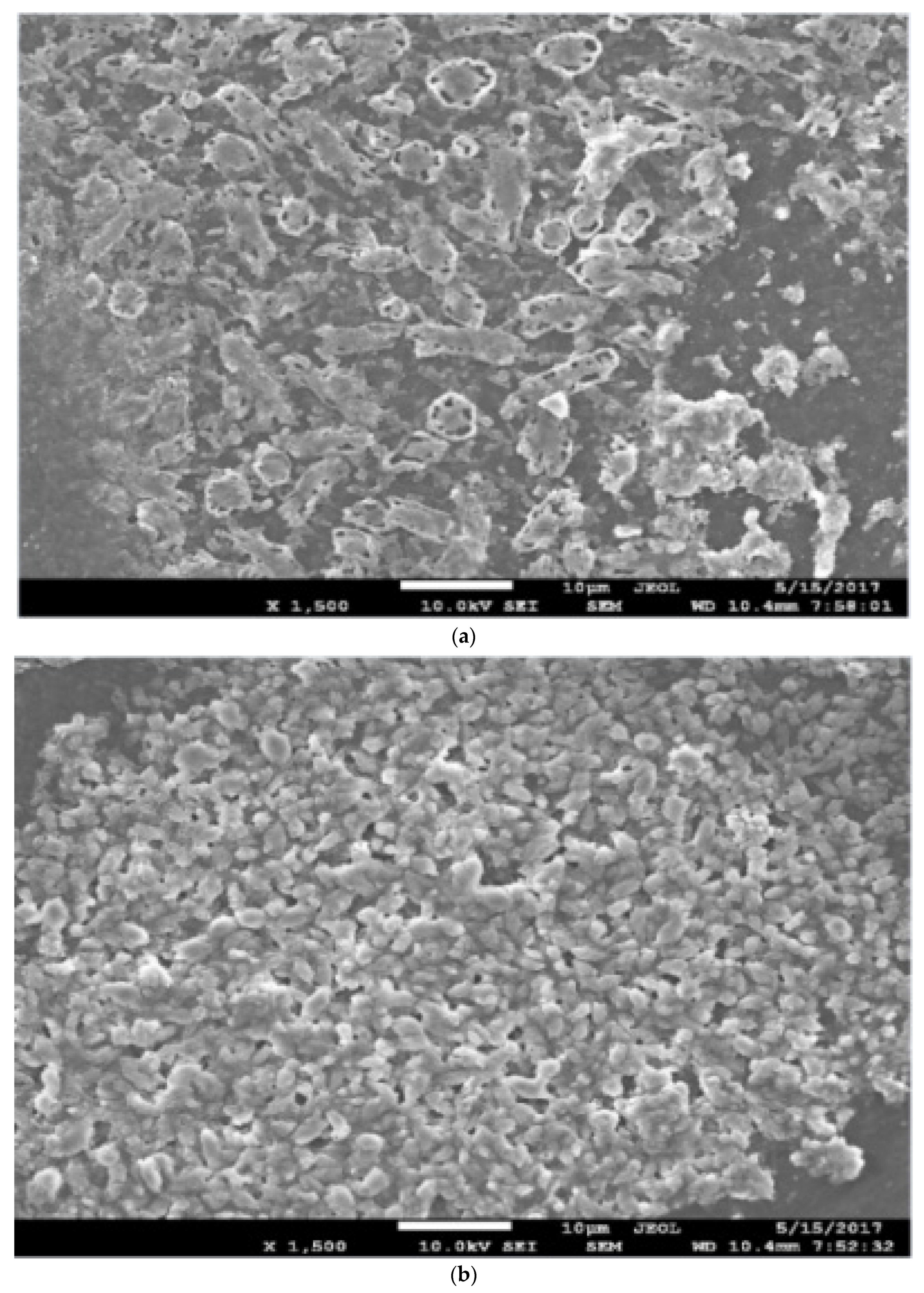 Processes 10 01483 g003