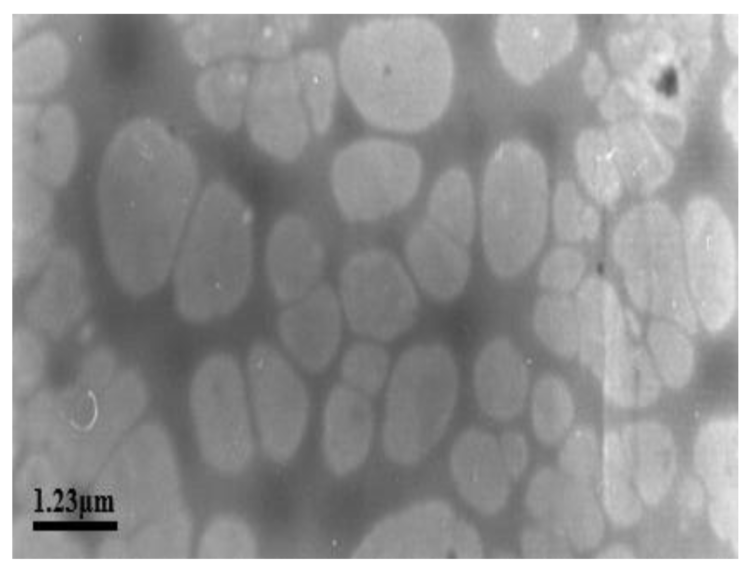 Processes 10 01485 g009 550