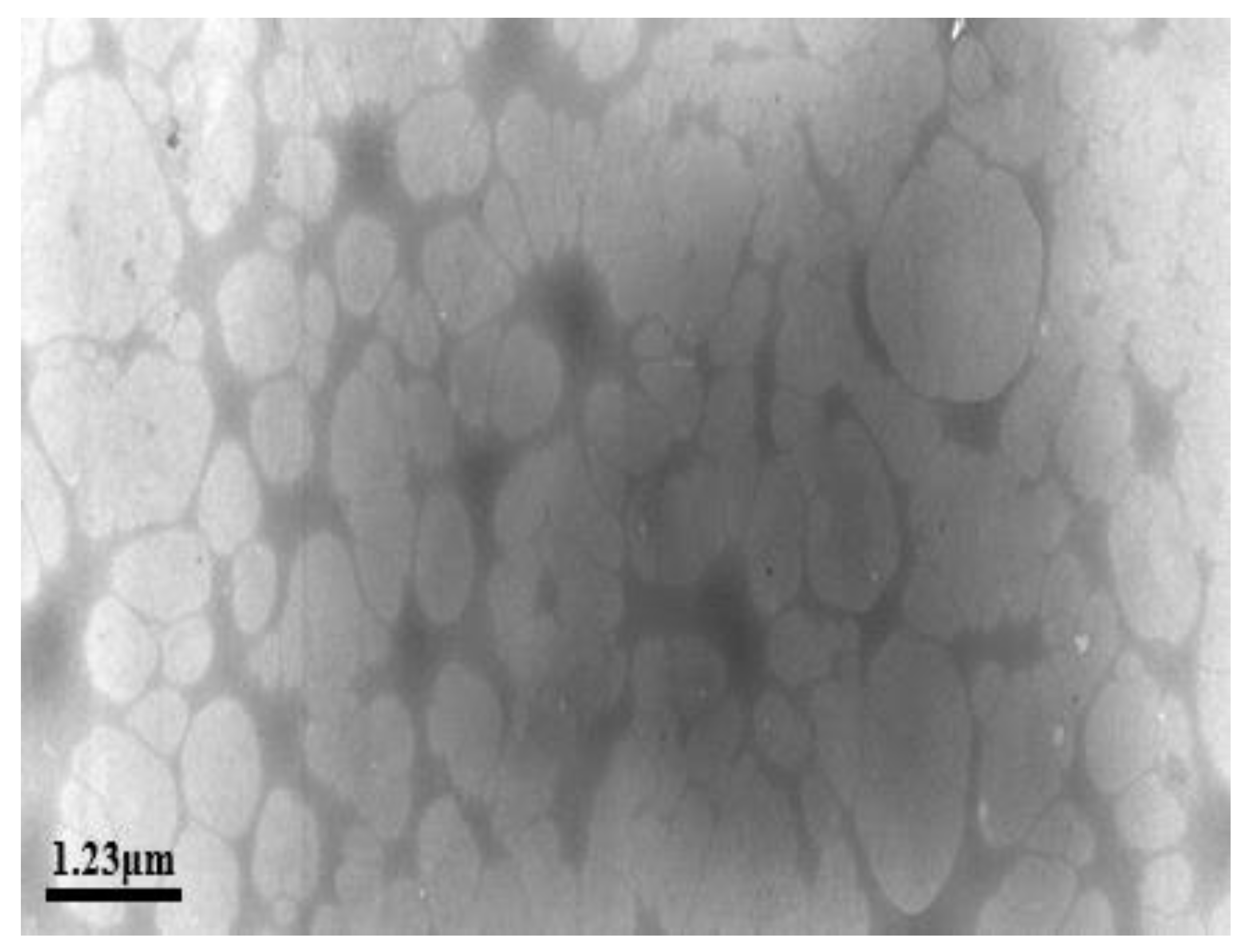 Processes 10 01485 g010 550