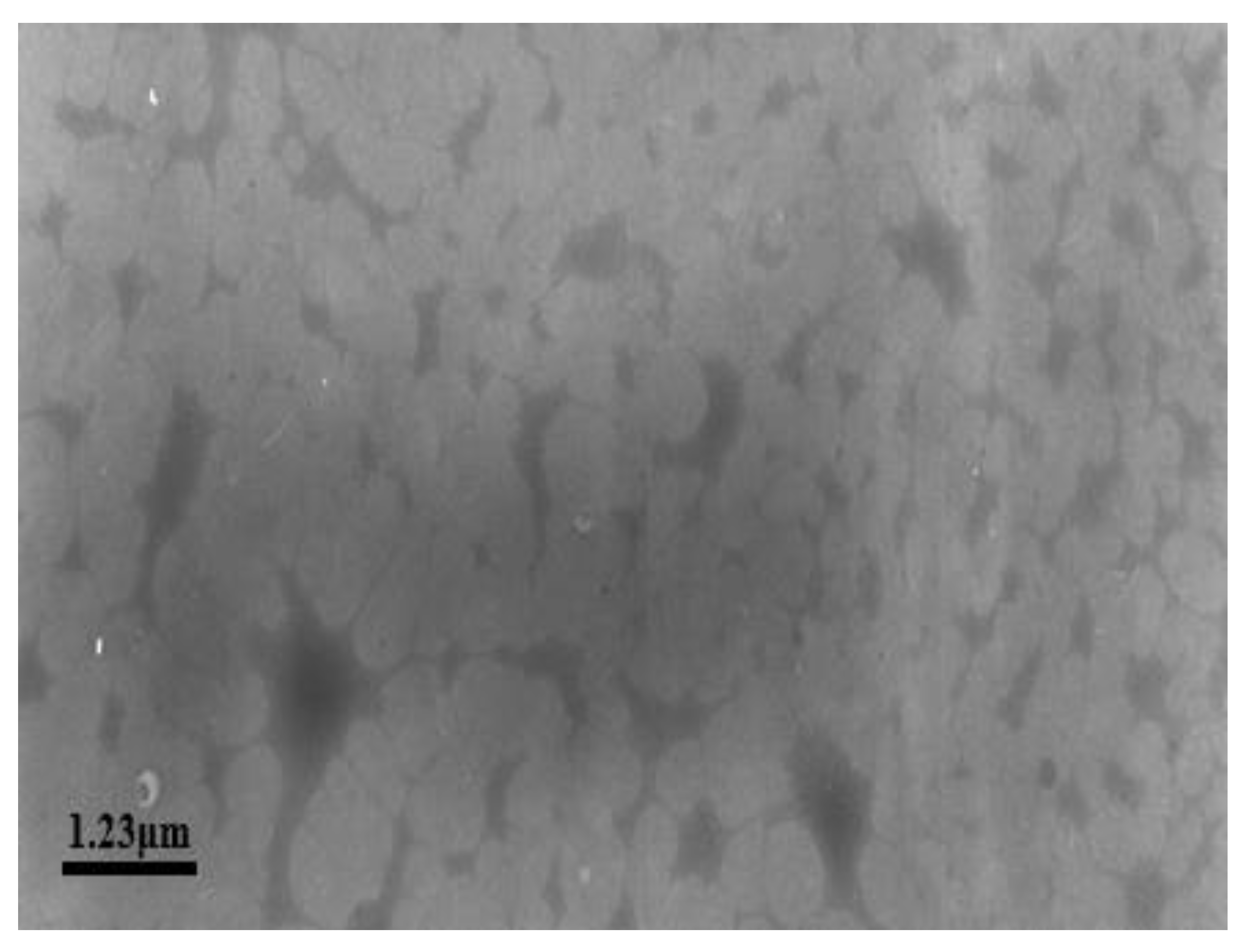 Processes 10 01485 g011 550