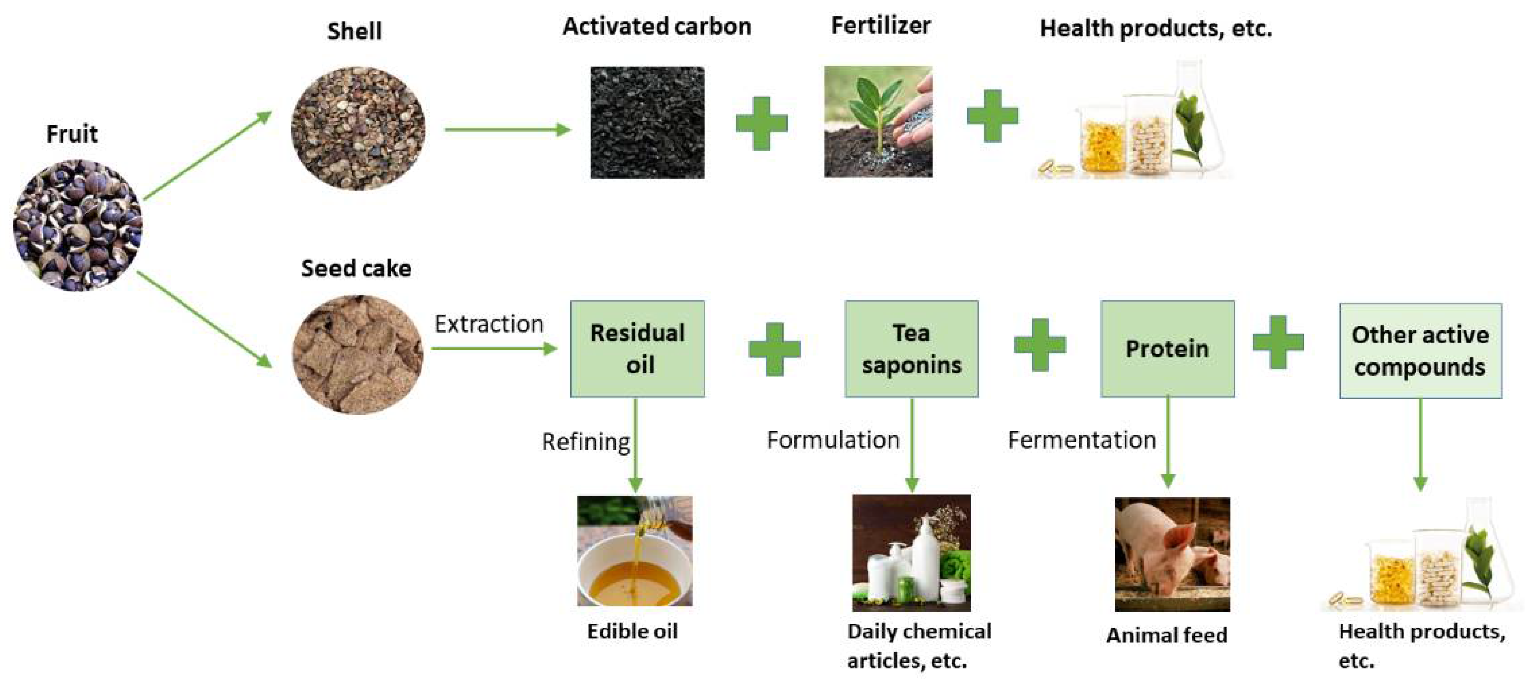 Frontiers | Applications of Chinese Camellia oleifera and its By-Products:  A Review