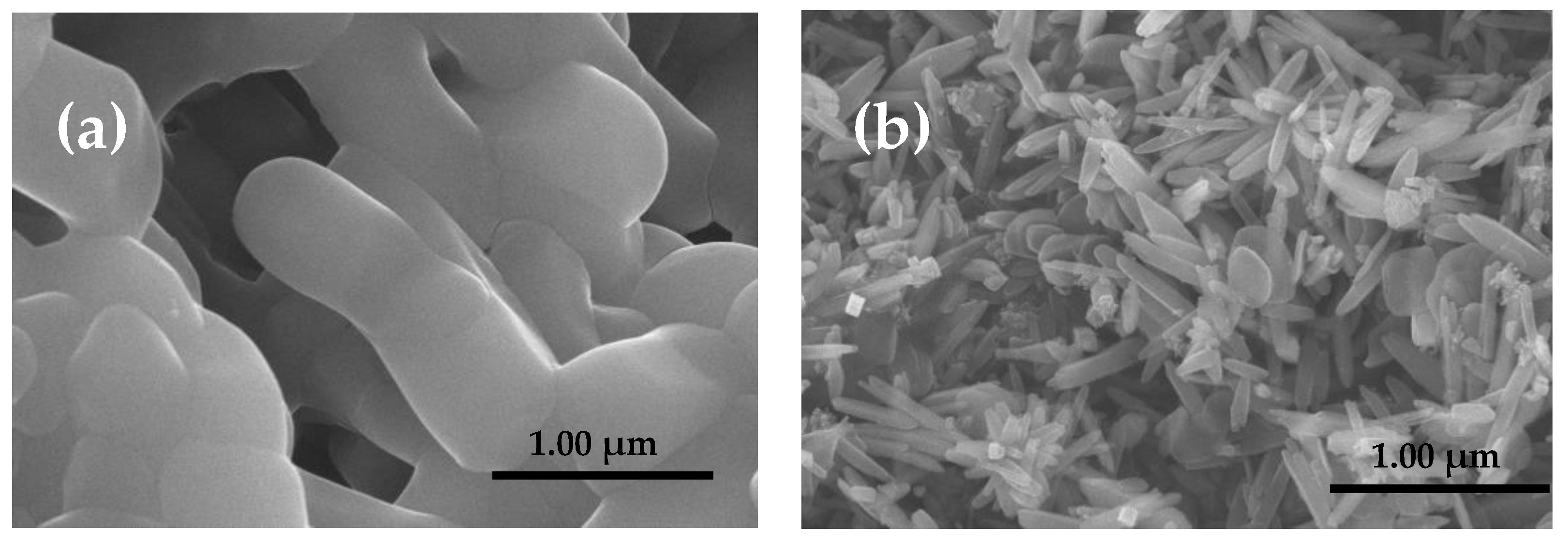 Processes 10 01491 g003