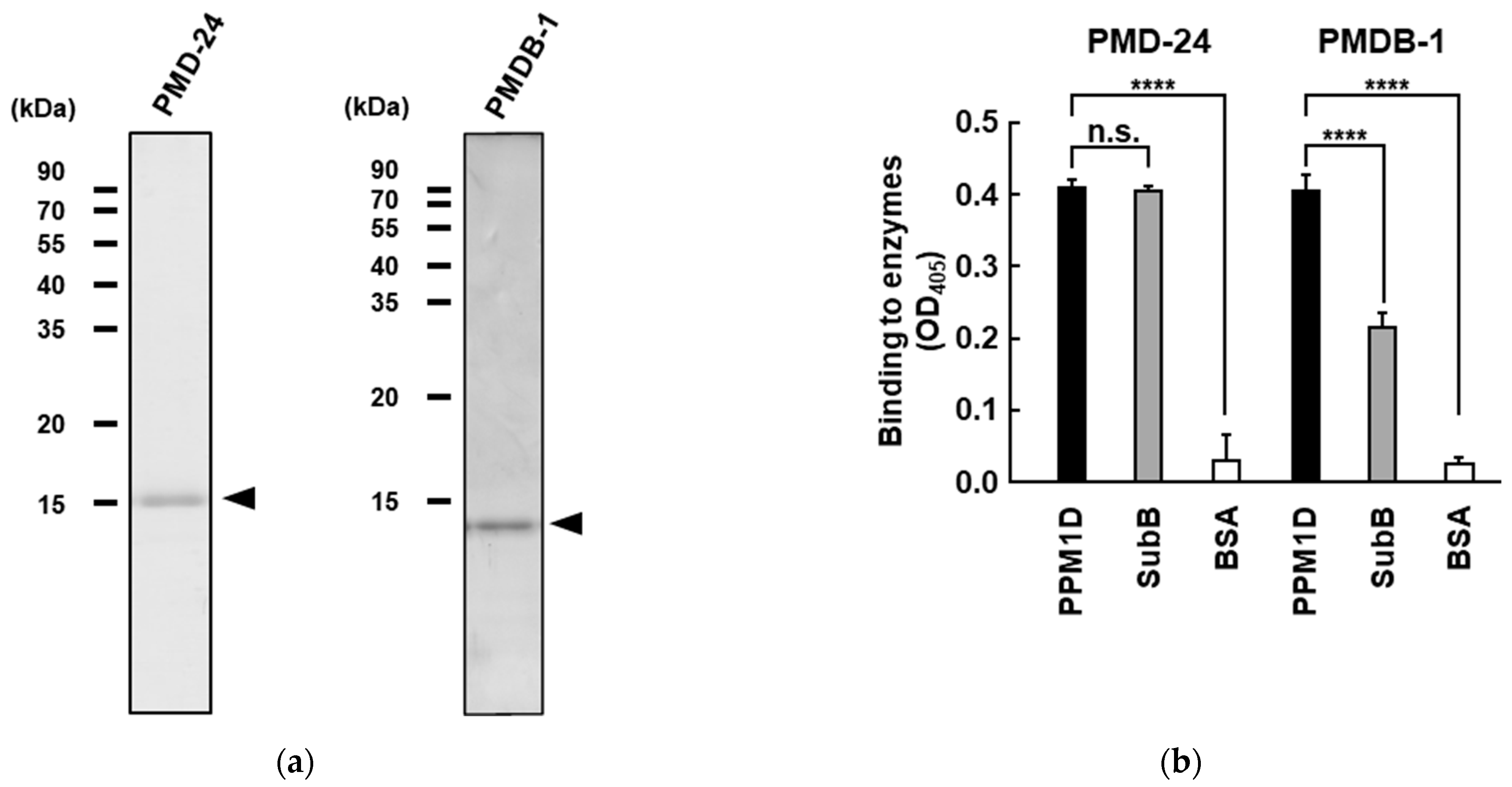 Processes 10 01501 g003a