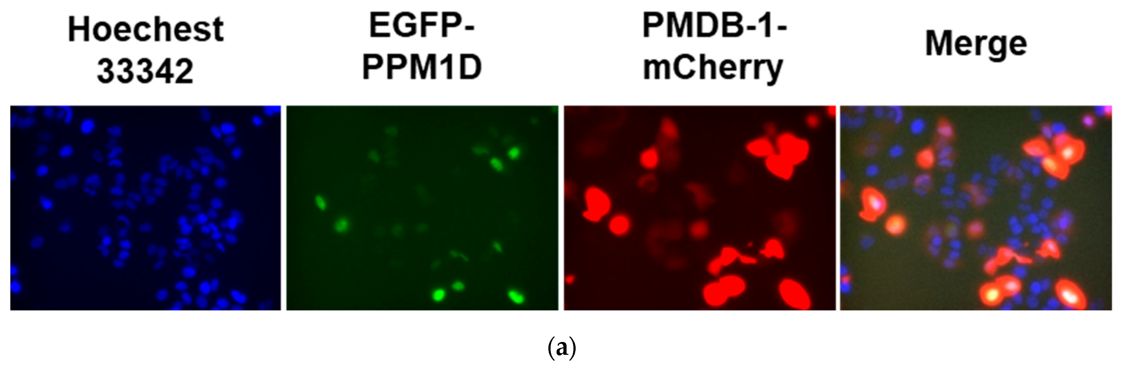 Processes 10 01501 g004a