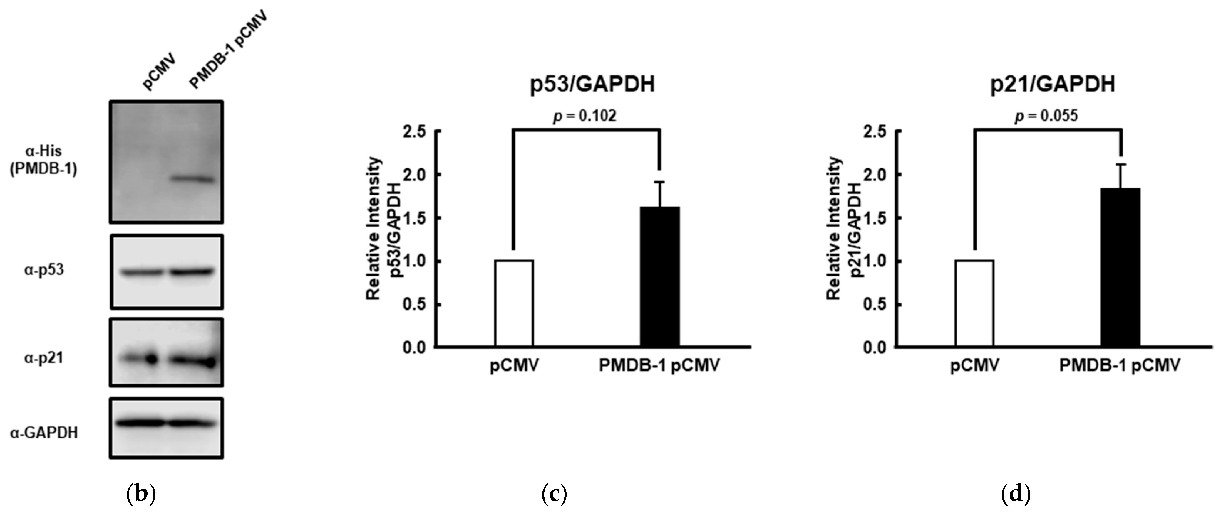 Processes 10 01501 g004b