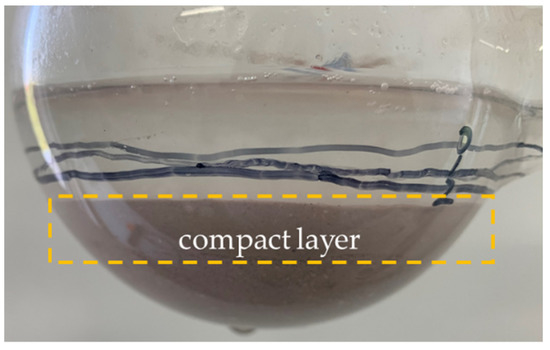 Study and Mechanism Analysis on Dynamic Shrinkage of Bottom