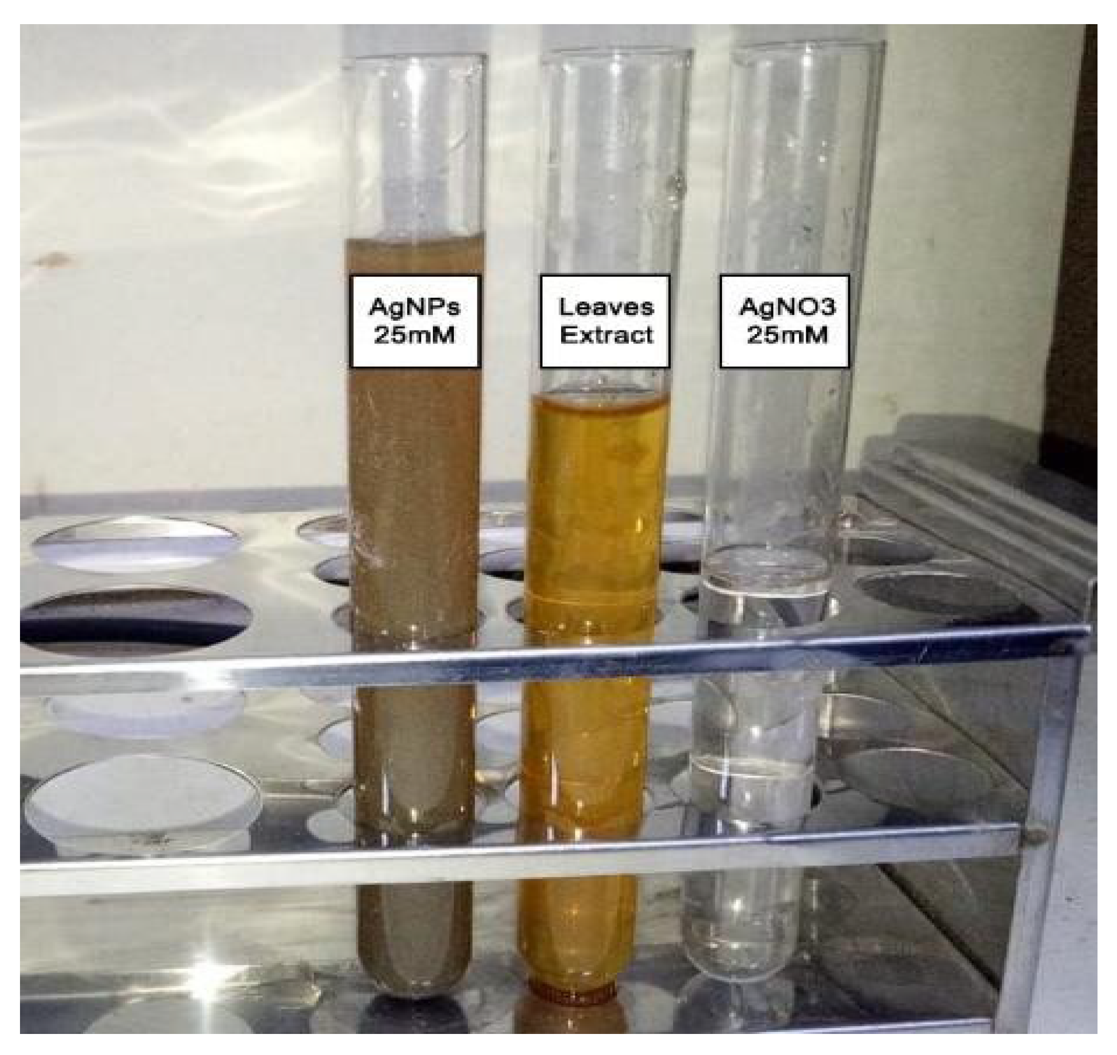 Processes 10 01521 g001 550