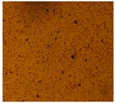 Processes 10 01521 i001