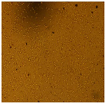 Processes 10 01521 i002