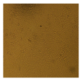 Processes 10 01521 i005