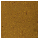 Processes 10 01521 i010