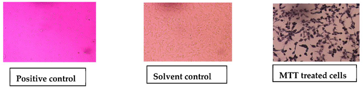 Processes 10 01521 i011