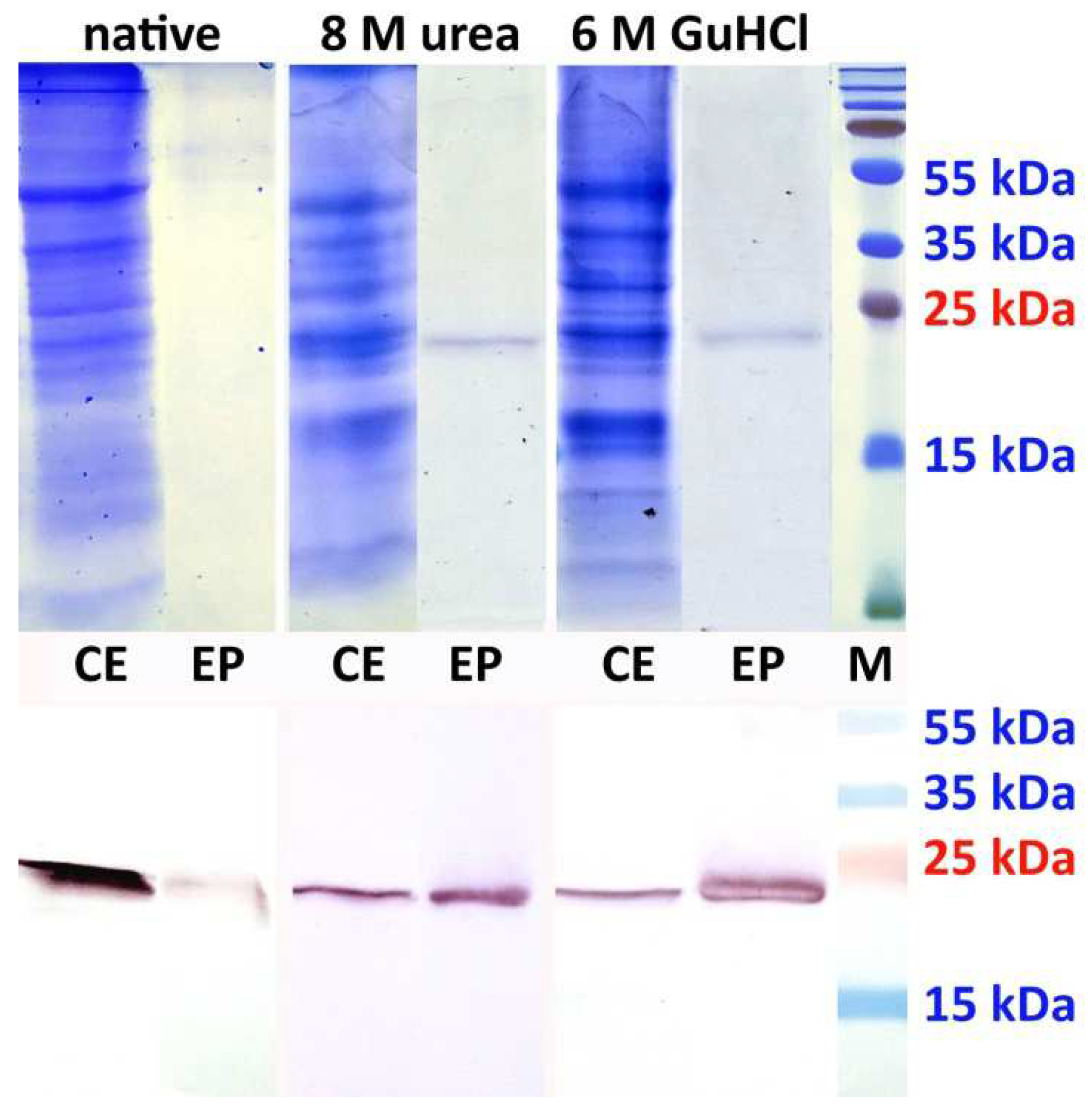 Processes 10 01526 g003 Processes 10 01526 g003