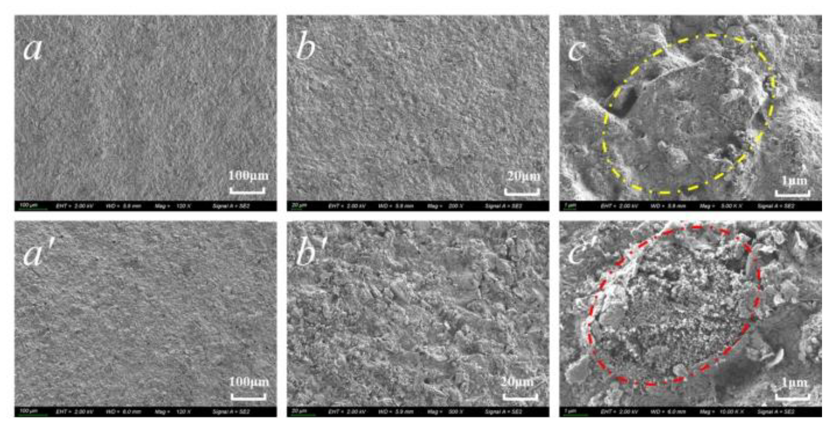 Processes 10 01527 g005