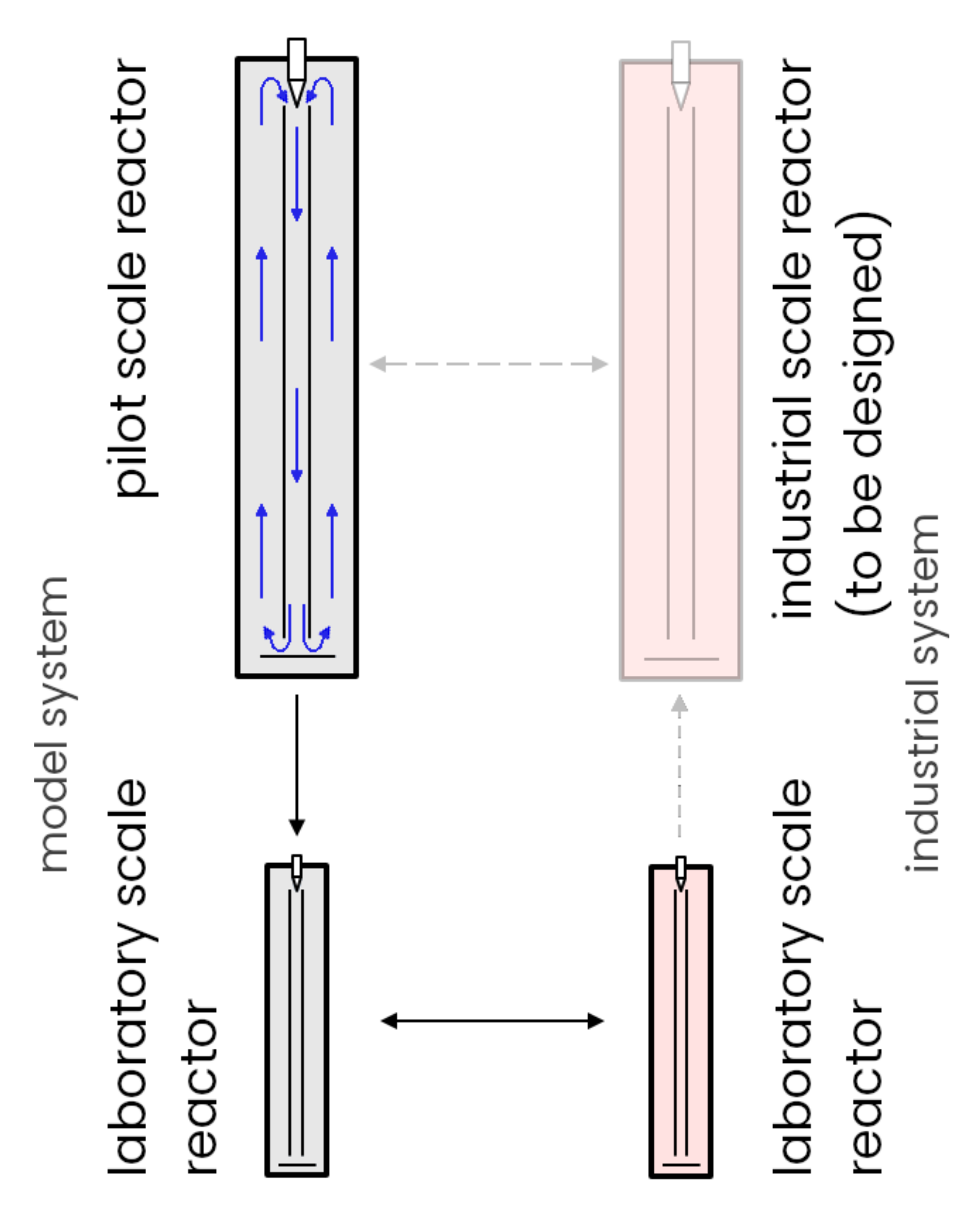 Processes 10 01531 g001 550