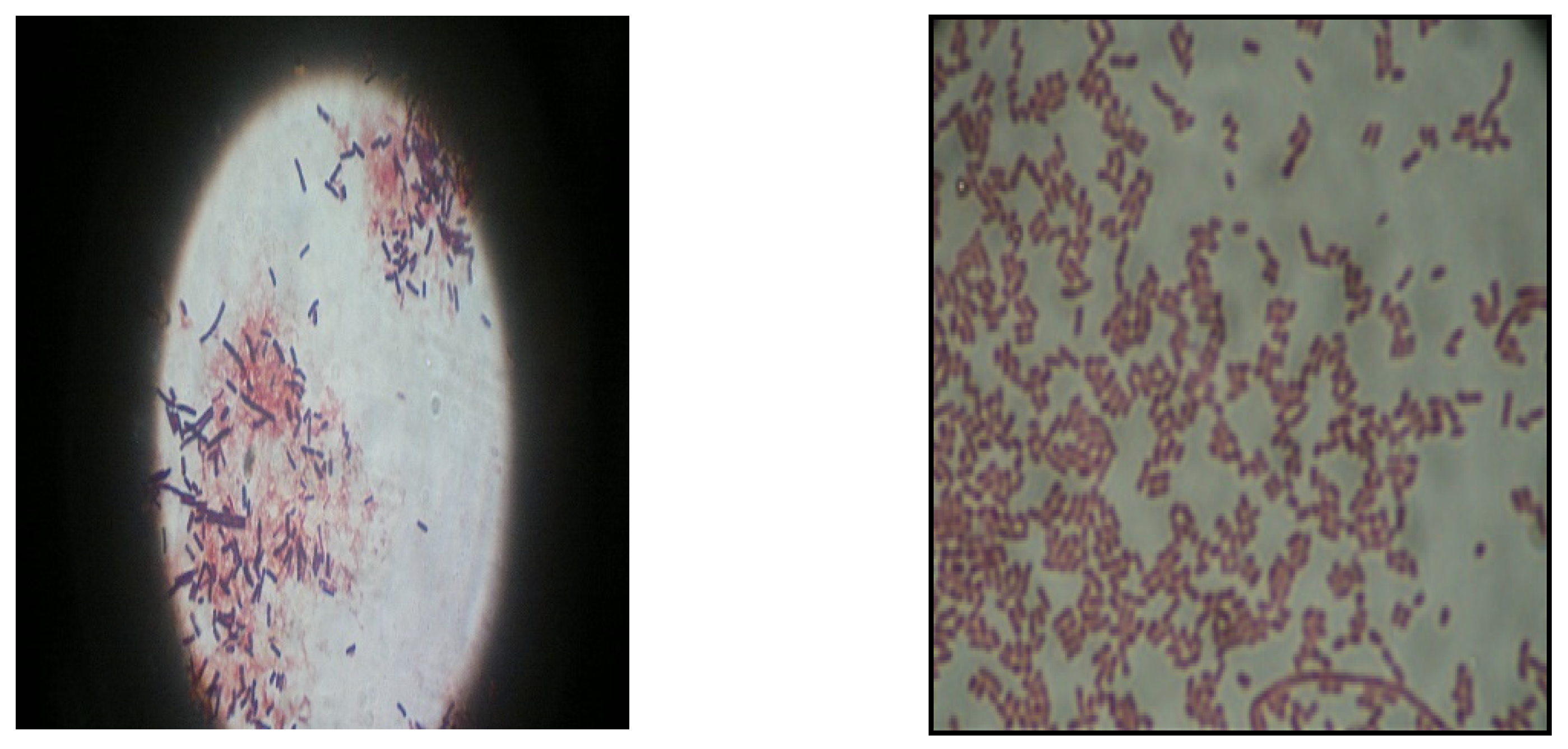 Processes 10 01548 g002