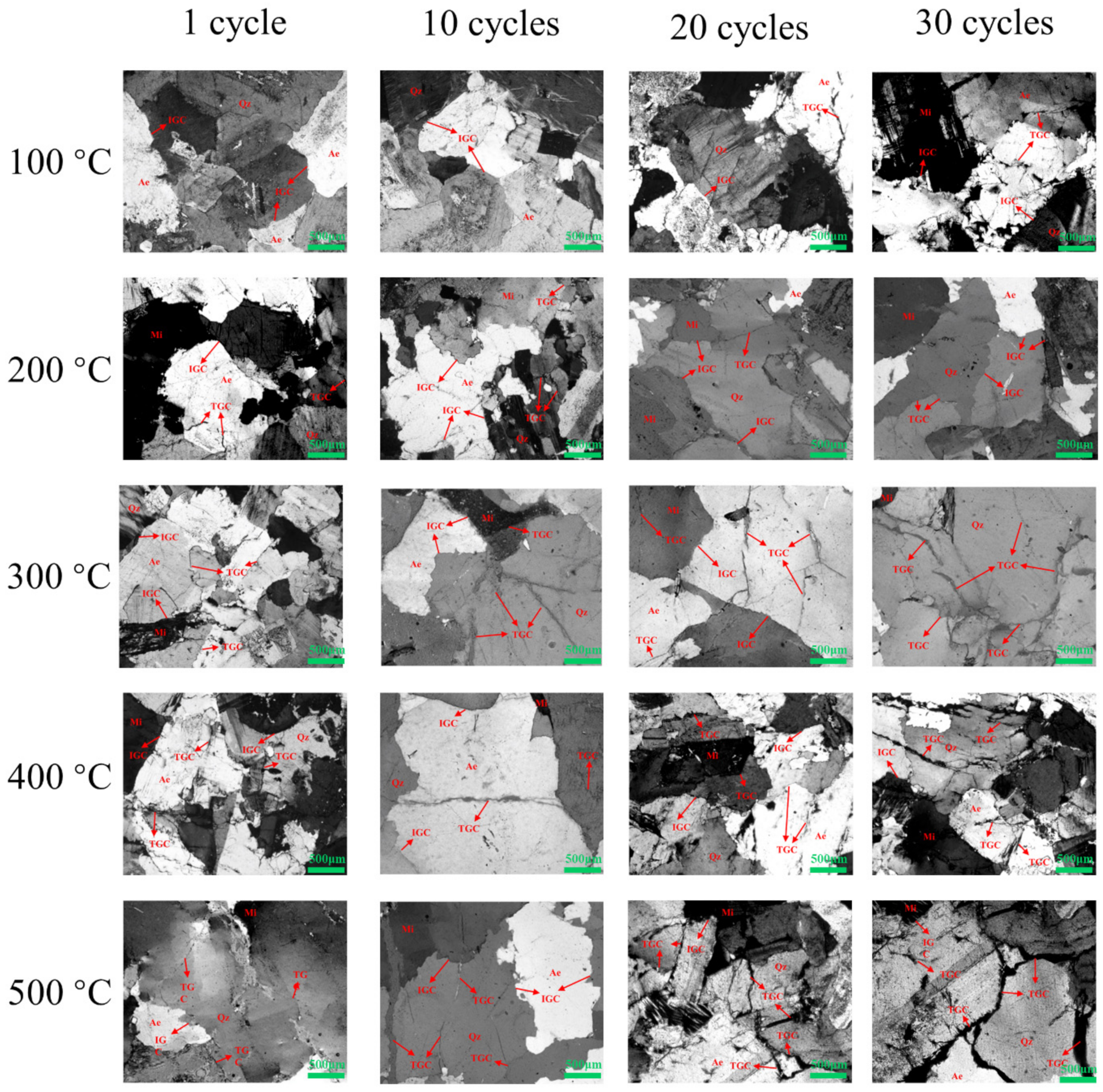 Processes 10 01551 g007 550