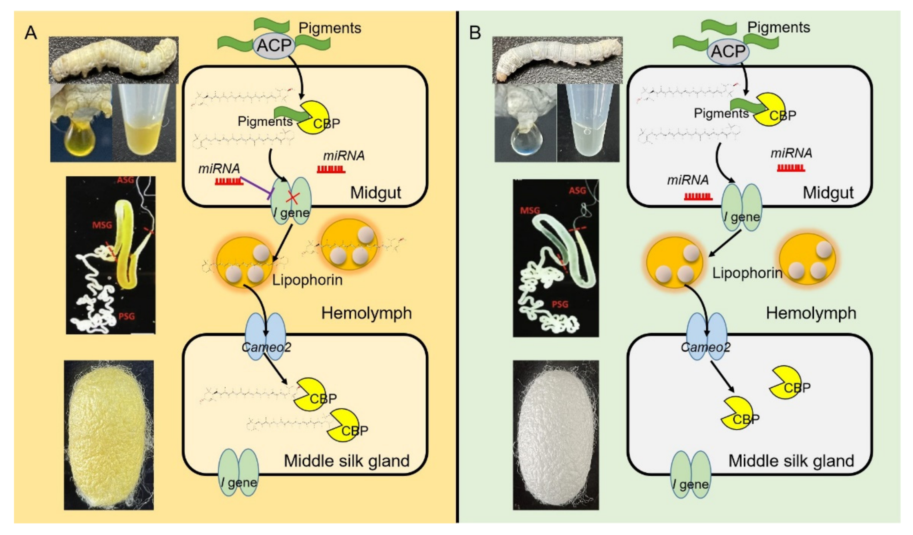 Processes 10 01556 g009 Processes 10 01556 g009