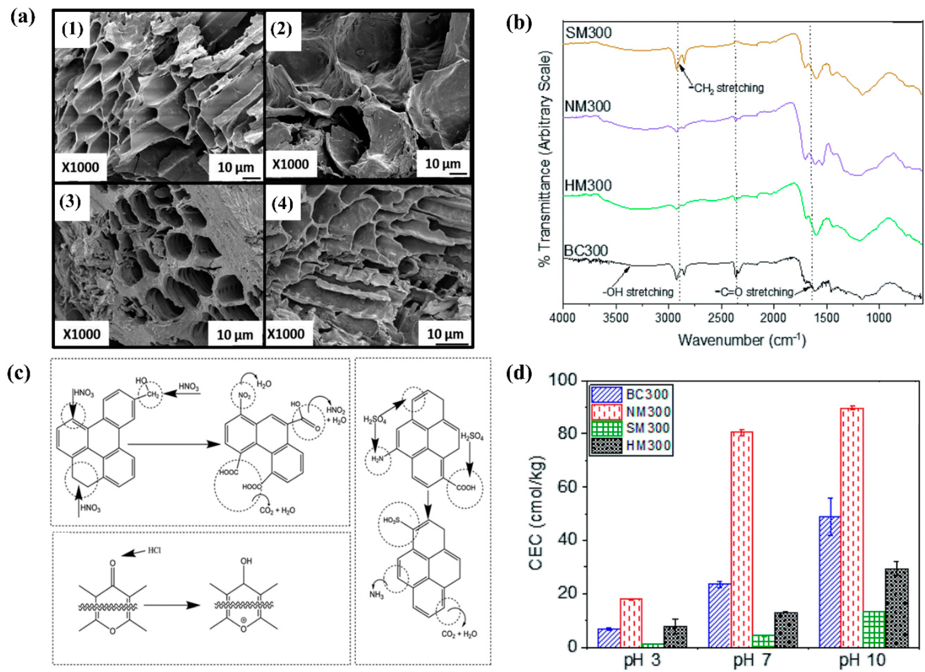 【感謝価格】  Functionalized by Soil in Contamination Cadmium of Remediation Efficient Biochar: Prospects Future and Challenges, Advances, Recent 小物