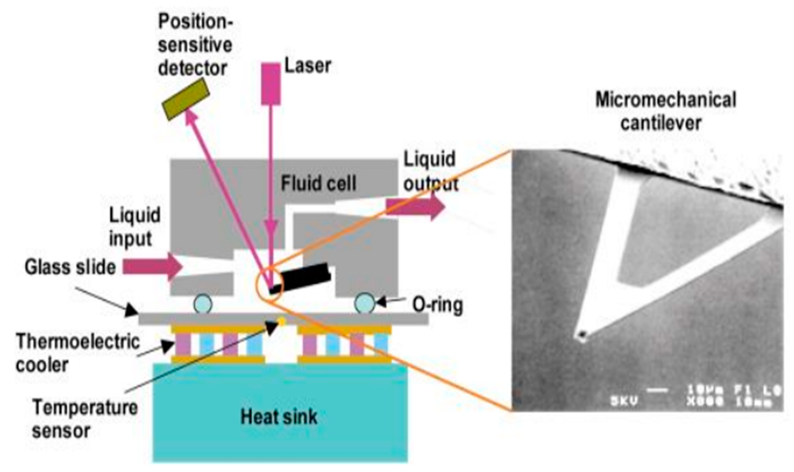 Processes 10 01658 g010