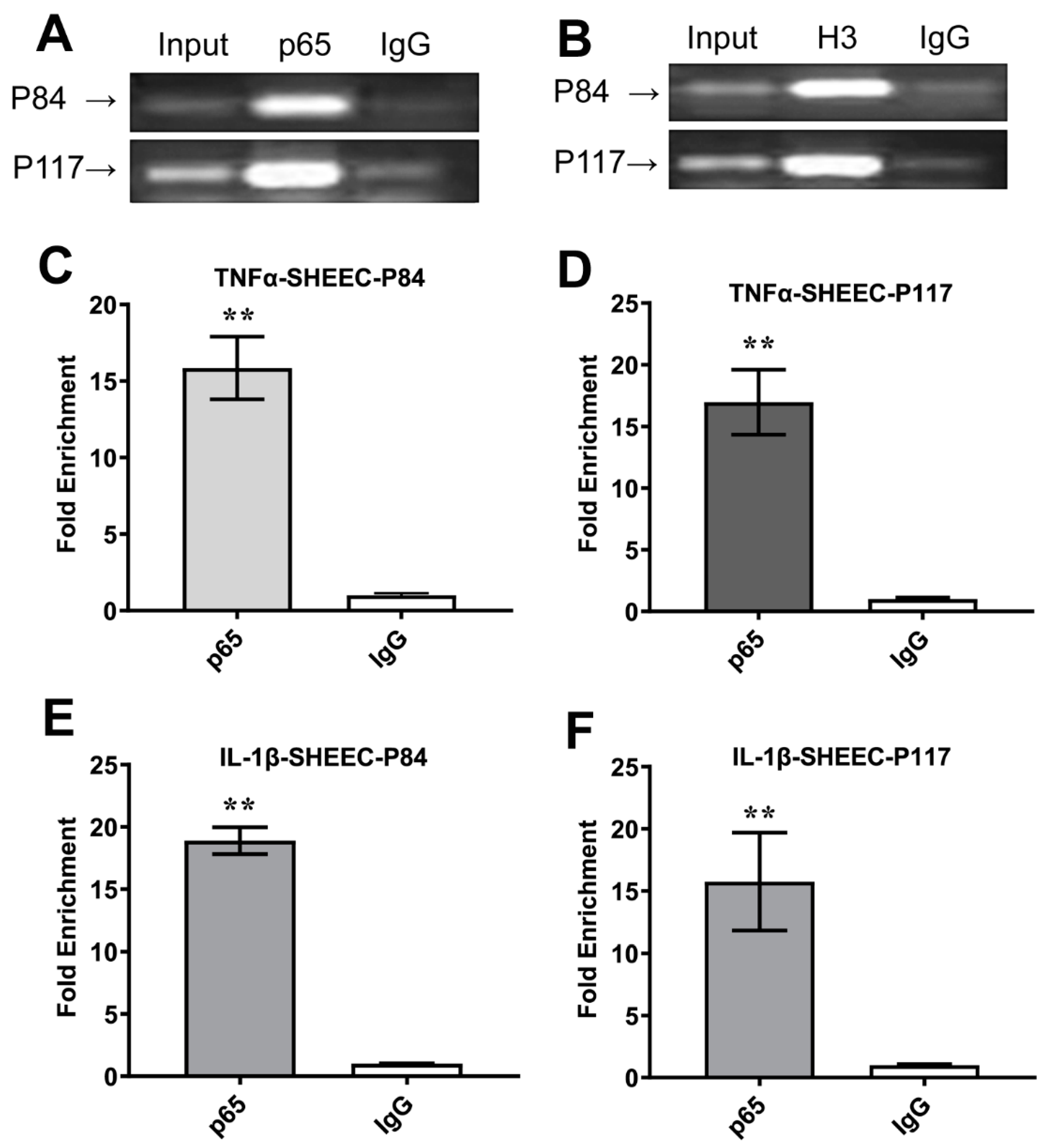 Processes 10 01673 g005