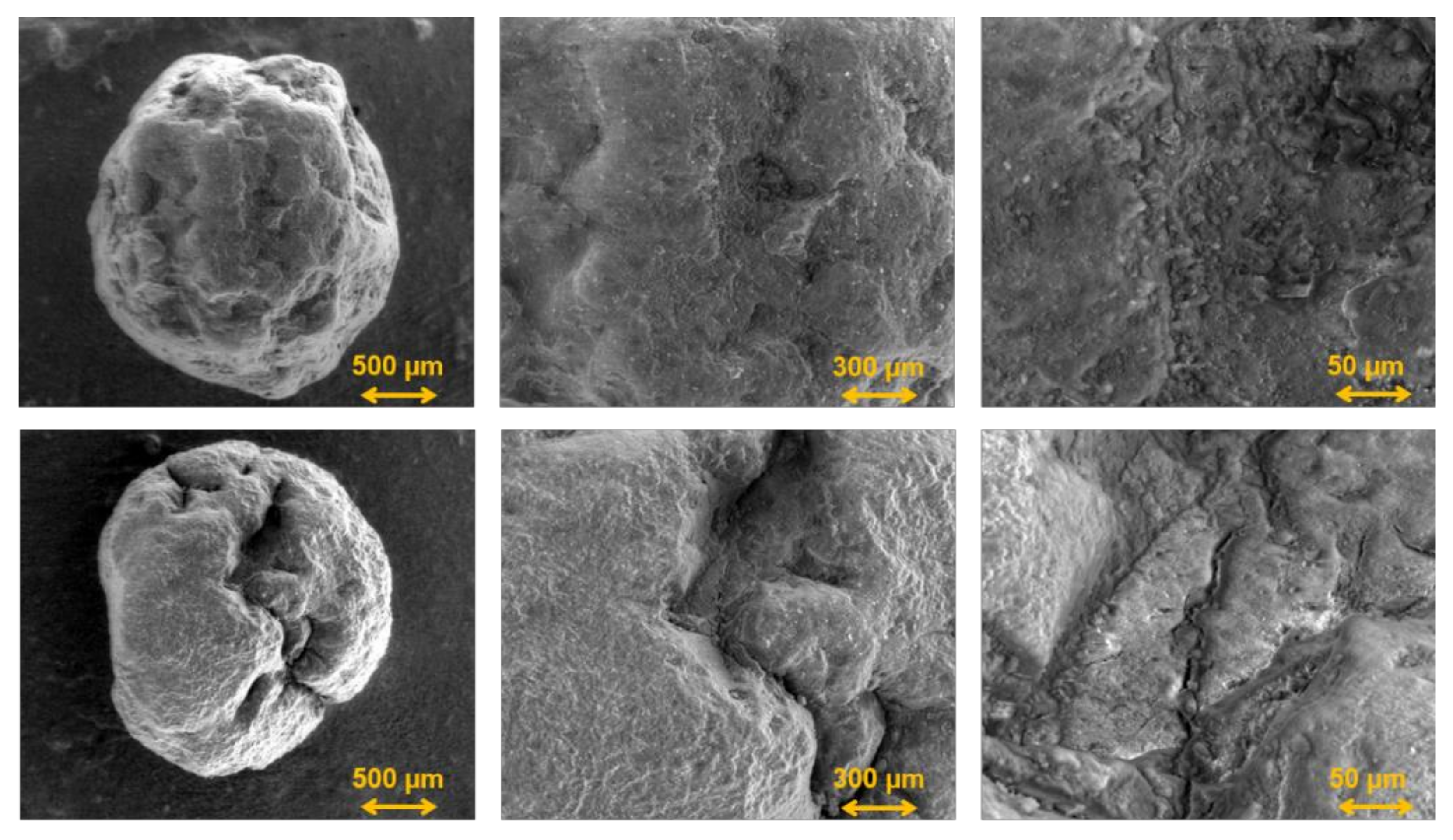 Processes 10 01680 g011 550
