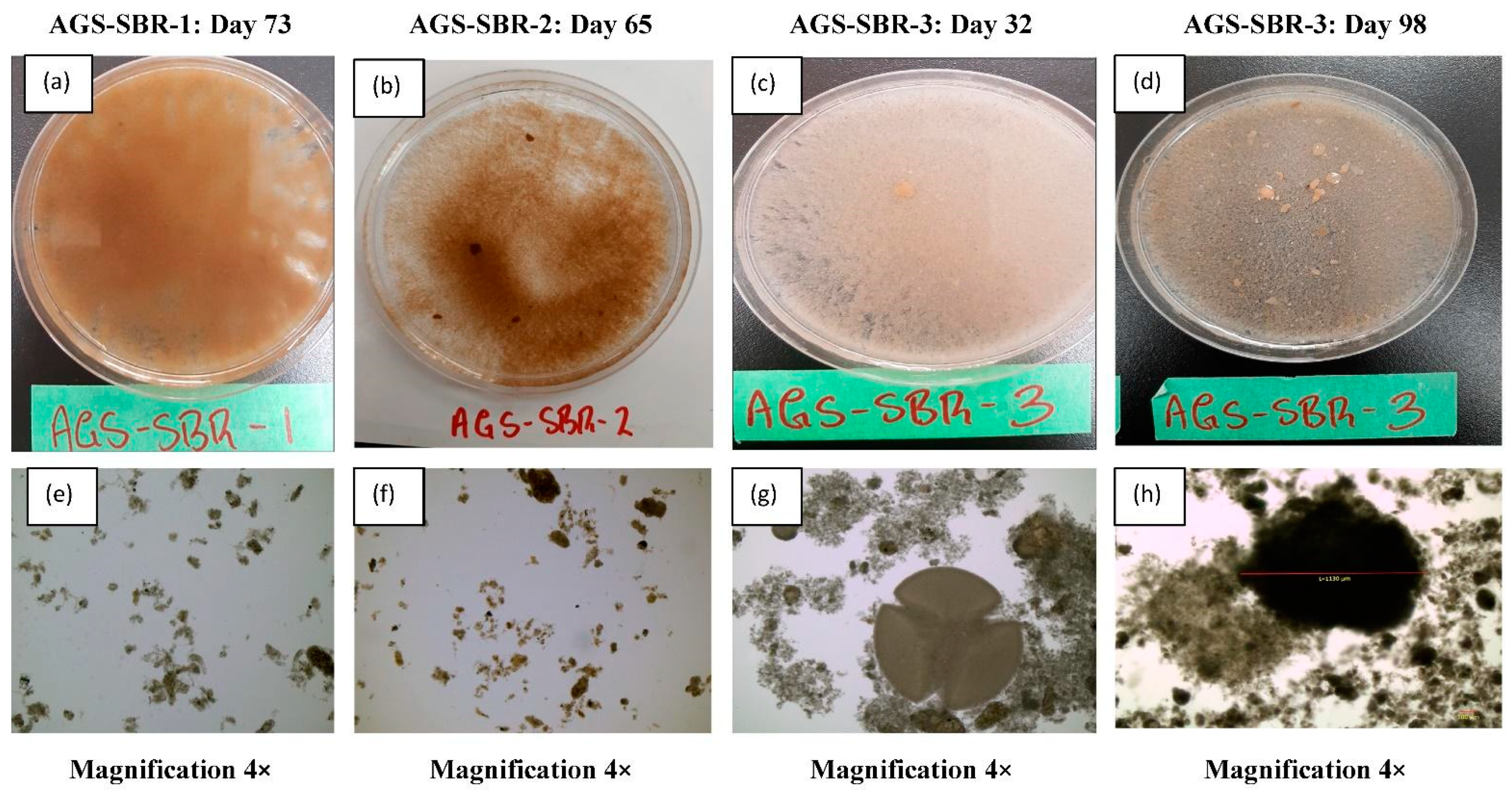 Processes 10 01687 g003 550