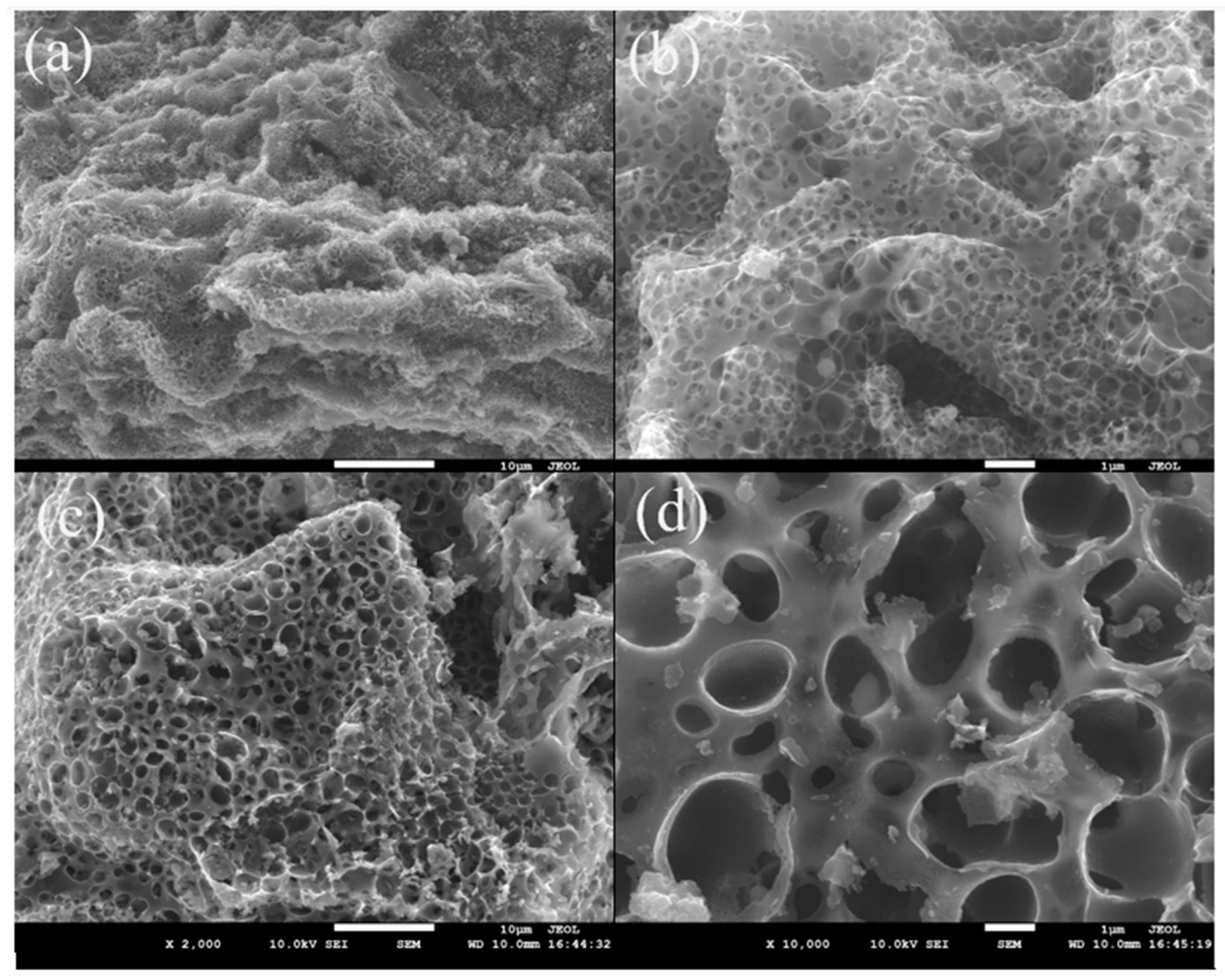 Processes 10 01746 g001 550